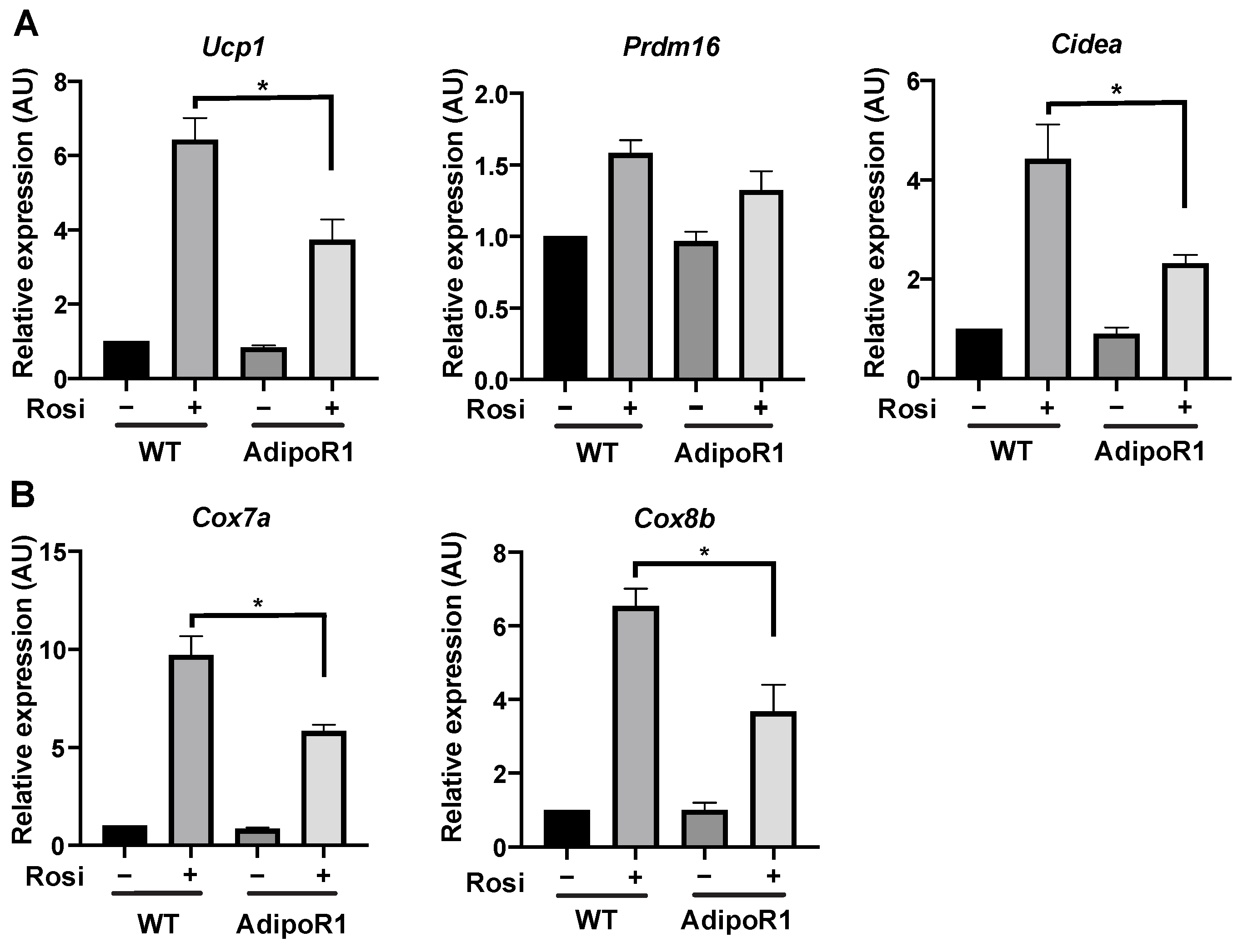 Ijms 22 00906 g010 Ijms 22 00906 g010