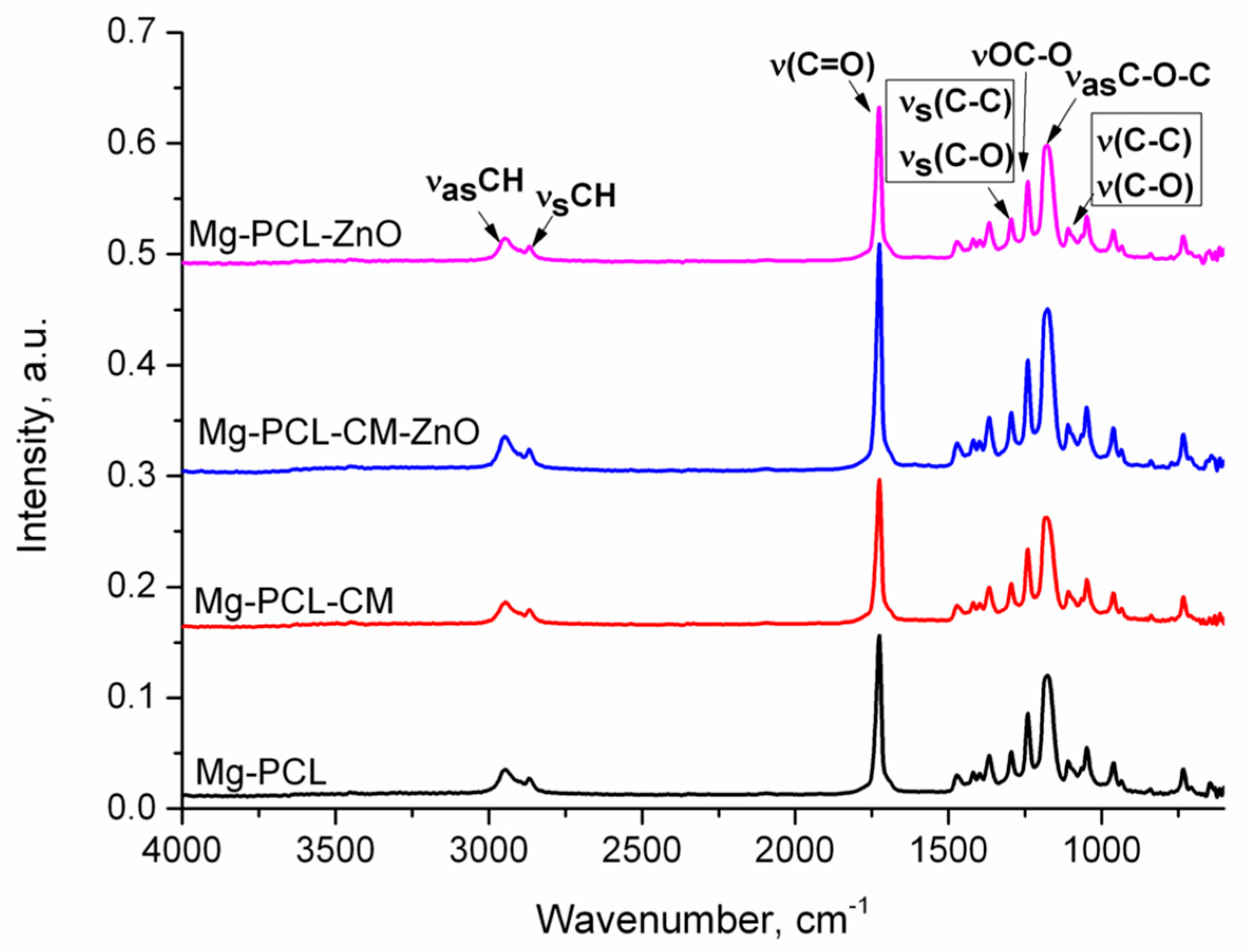 IJMS | Free Full-Text | In Vitro Macrophage Immunomodulation by  Poly(ε-caprolactone) Based-Coated AZ31 Mg Alloy