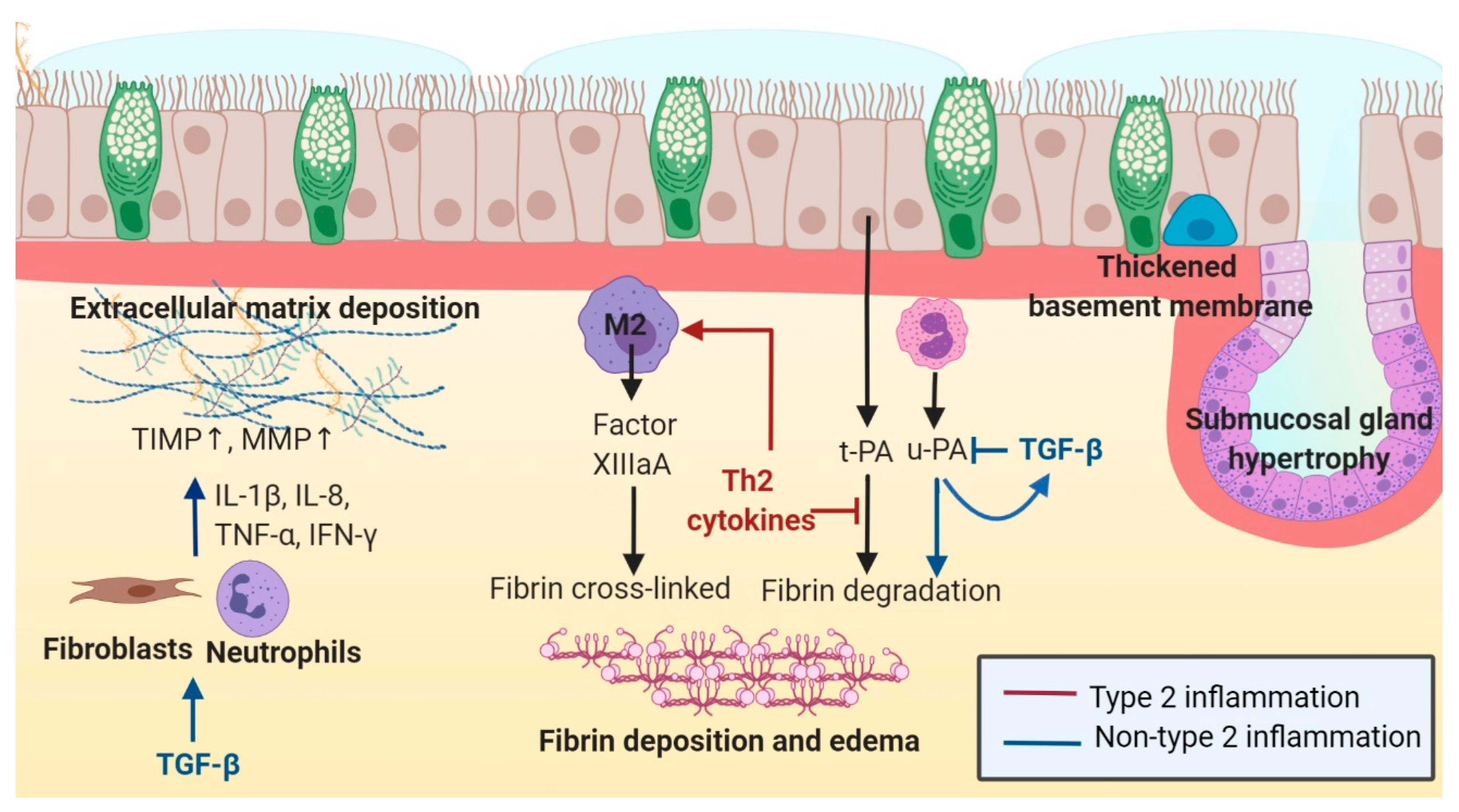 Ijms 22 00910 g002 Ijms 22 00910 g002