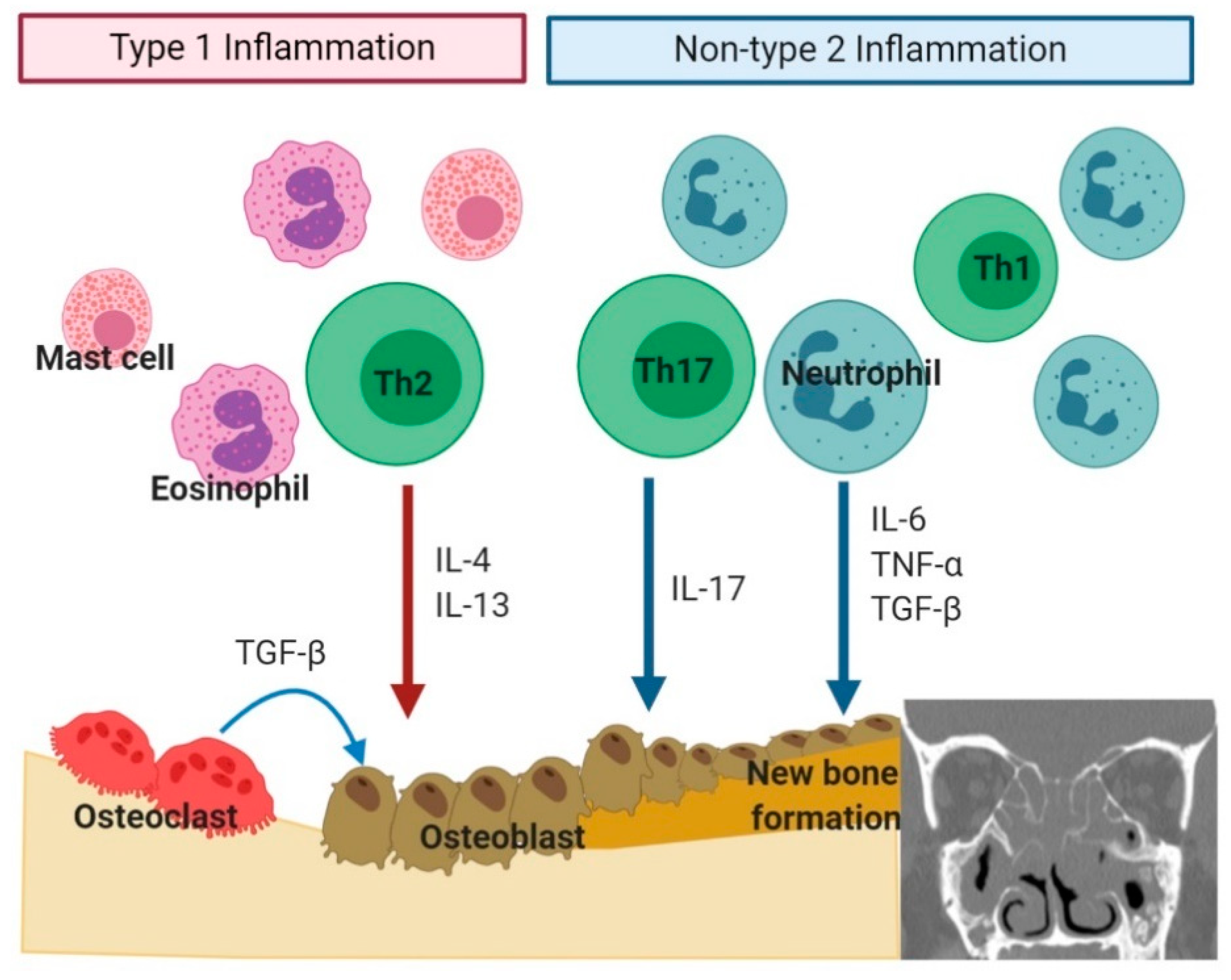 Ijms 22 00910 g003 Ijms 22 00910 g003