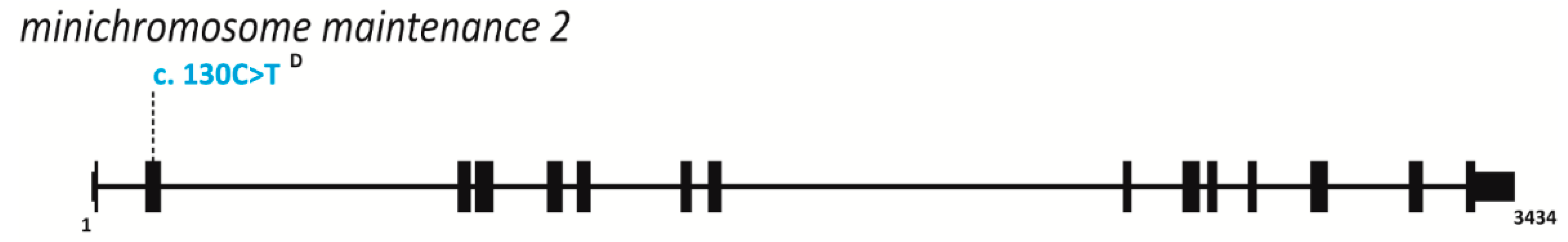 Ijms 22 00911 g006 Ijms 22 00911 g006