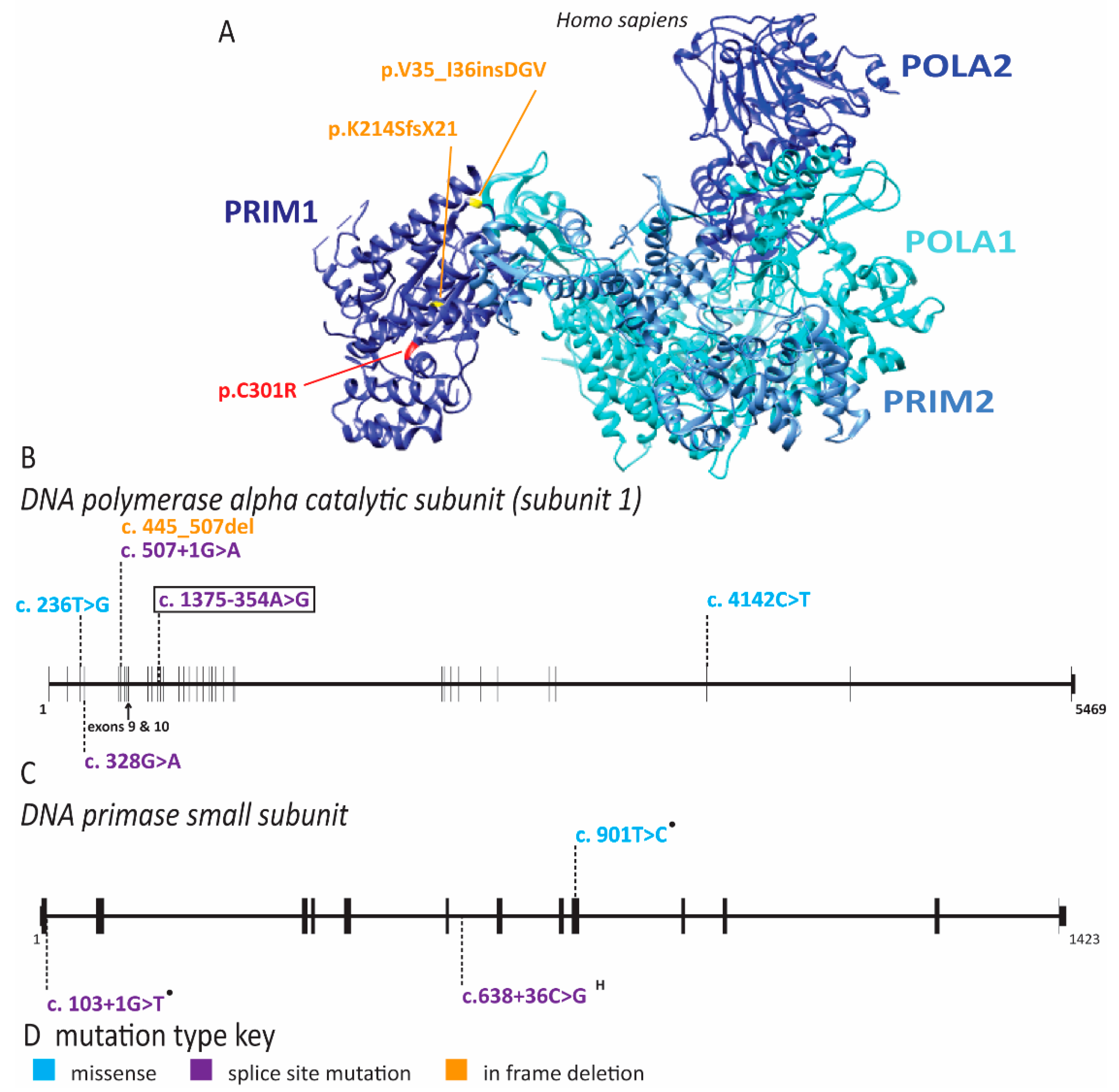 Ijms 22 00911 g008 Ijms 22 00911 g008