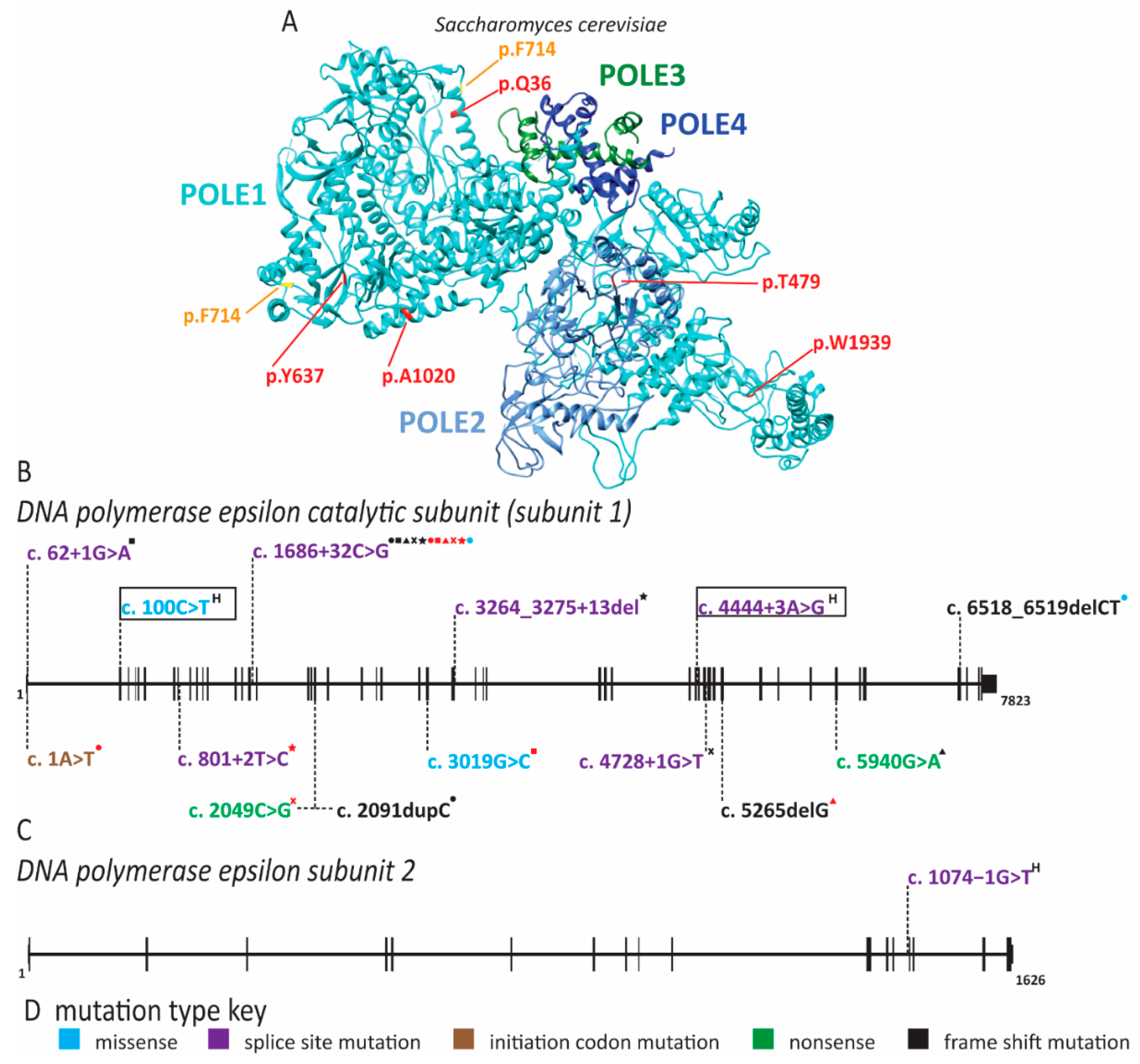Ijms 22 00911 g009 Ijms 22 00911 g009