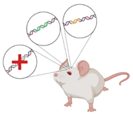 Ijms 22 00924 i005 Ijms 22 00924 i005