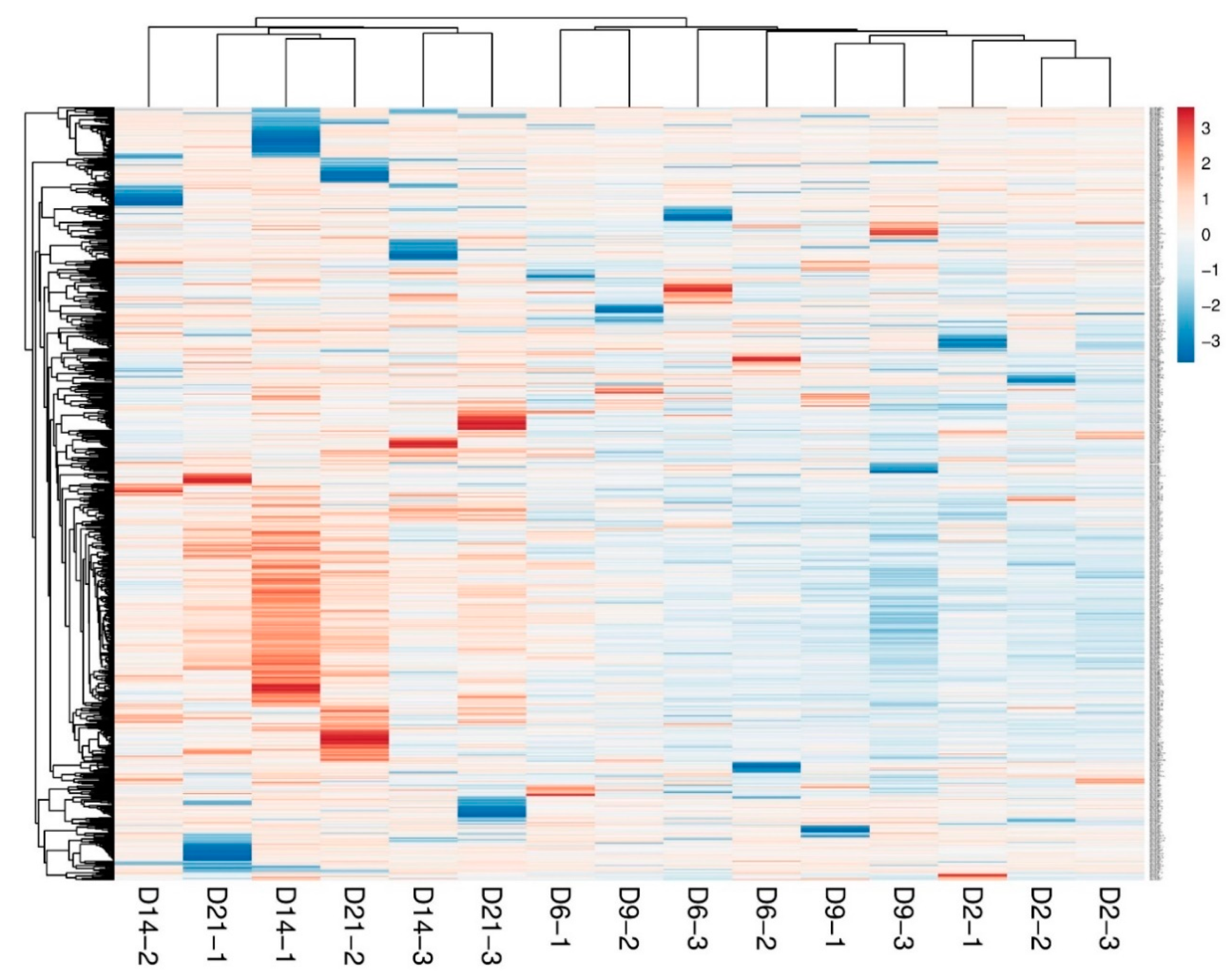 Ijms 22 00938 g002 Ijms 22 00938 g002