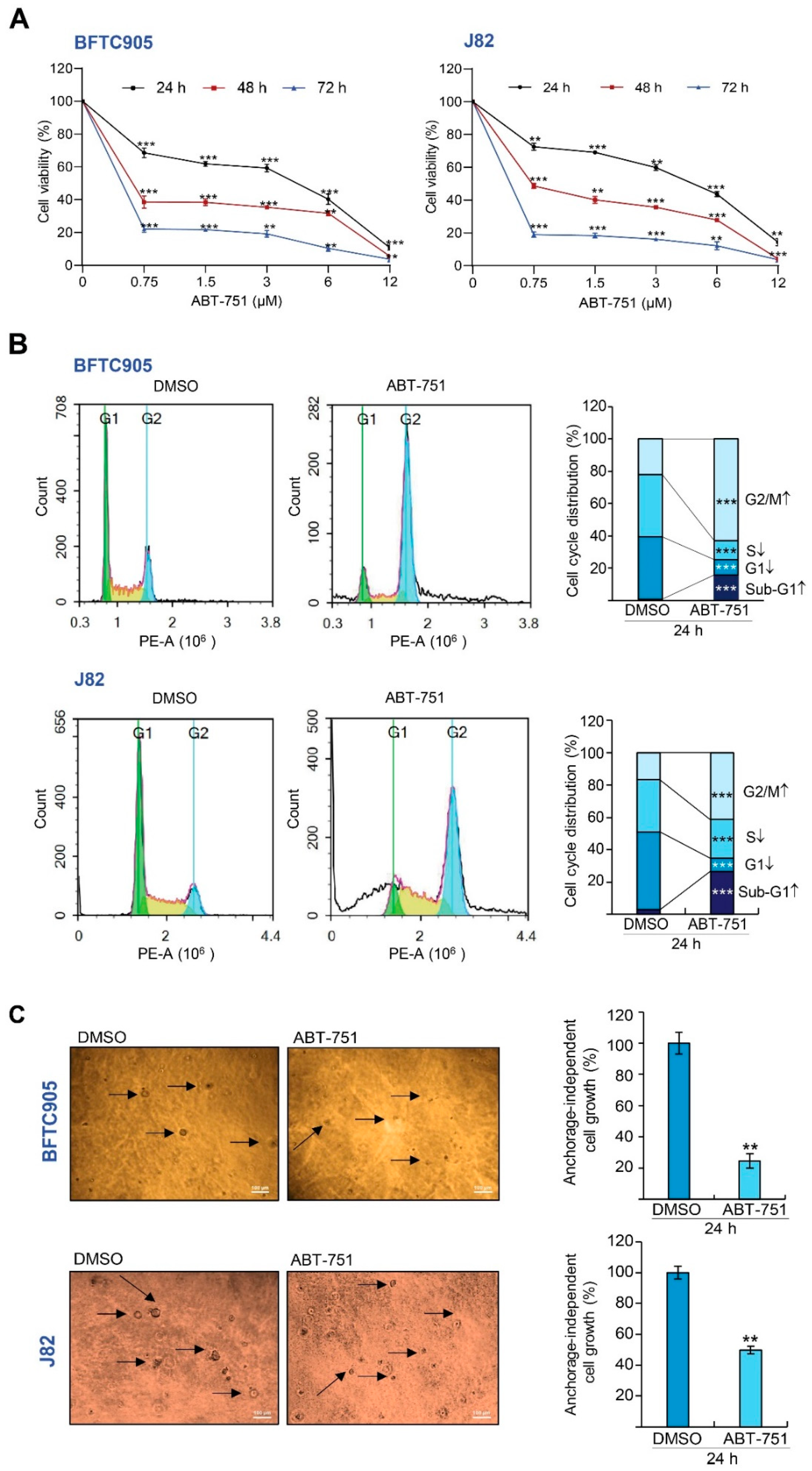 Ijms 22 00945 g001a Ijms 22 00945 g001a