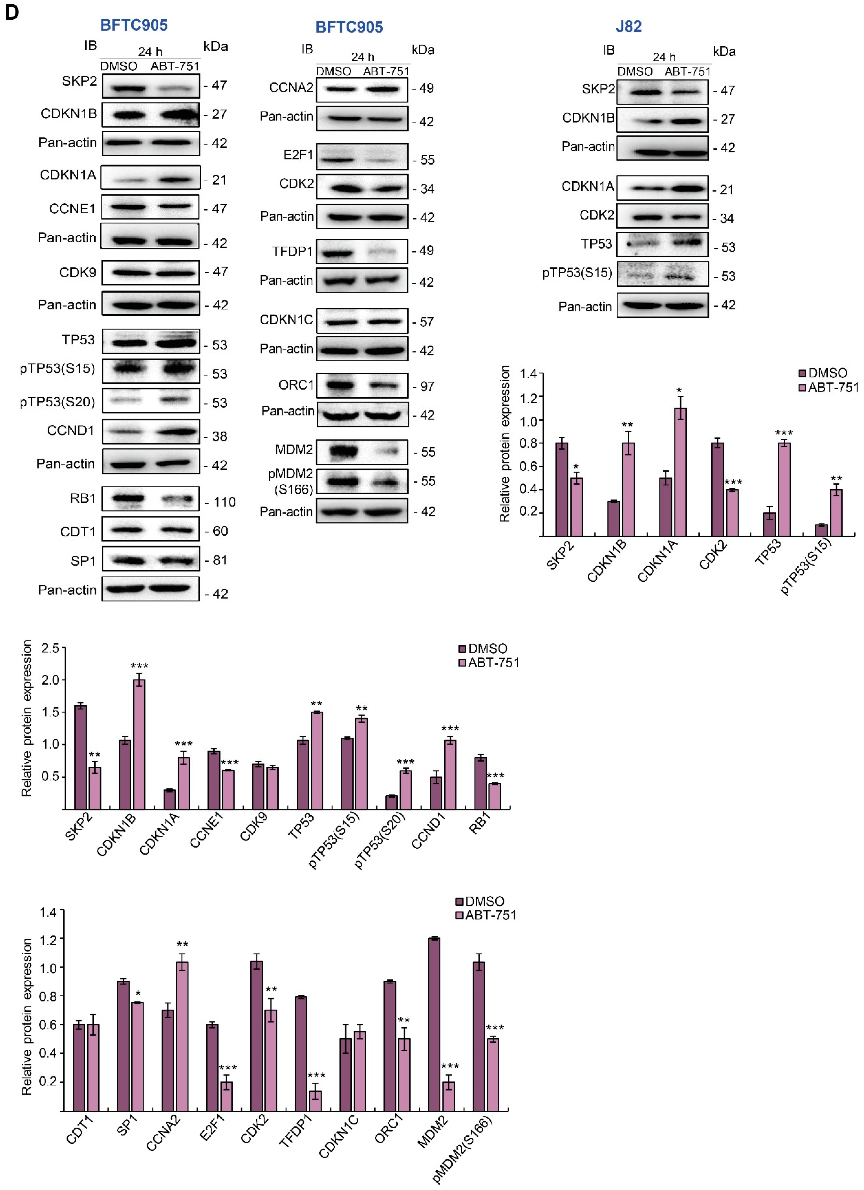 Ijms 22 00945 g001b Ijms 22 00945 g001b