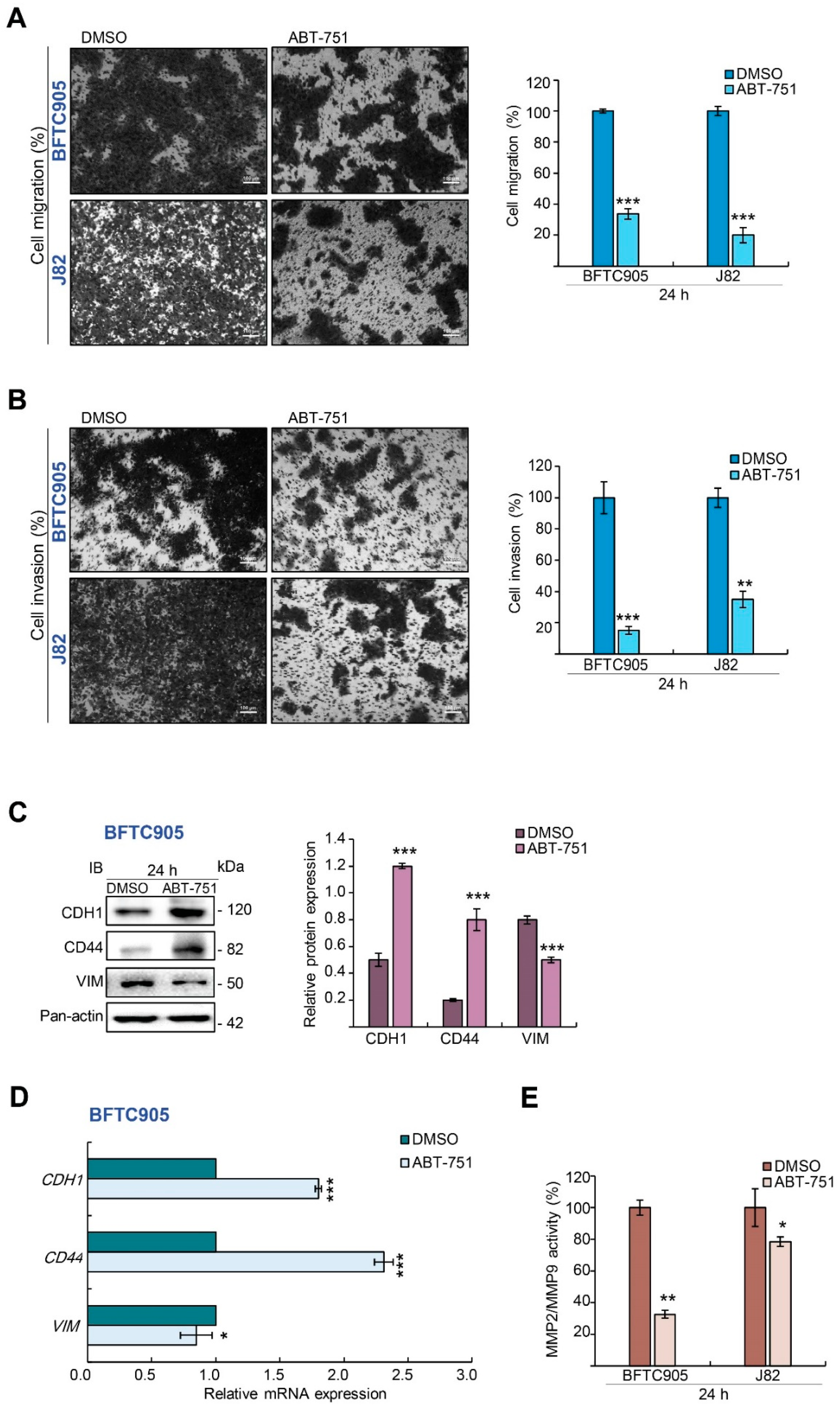 Ijms 22 00945 g002 Ijms 22 00945 g002