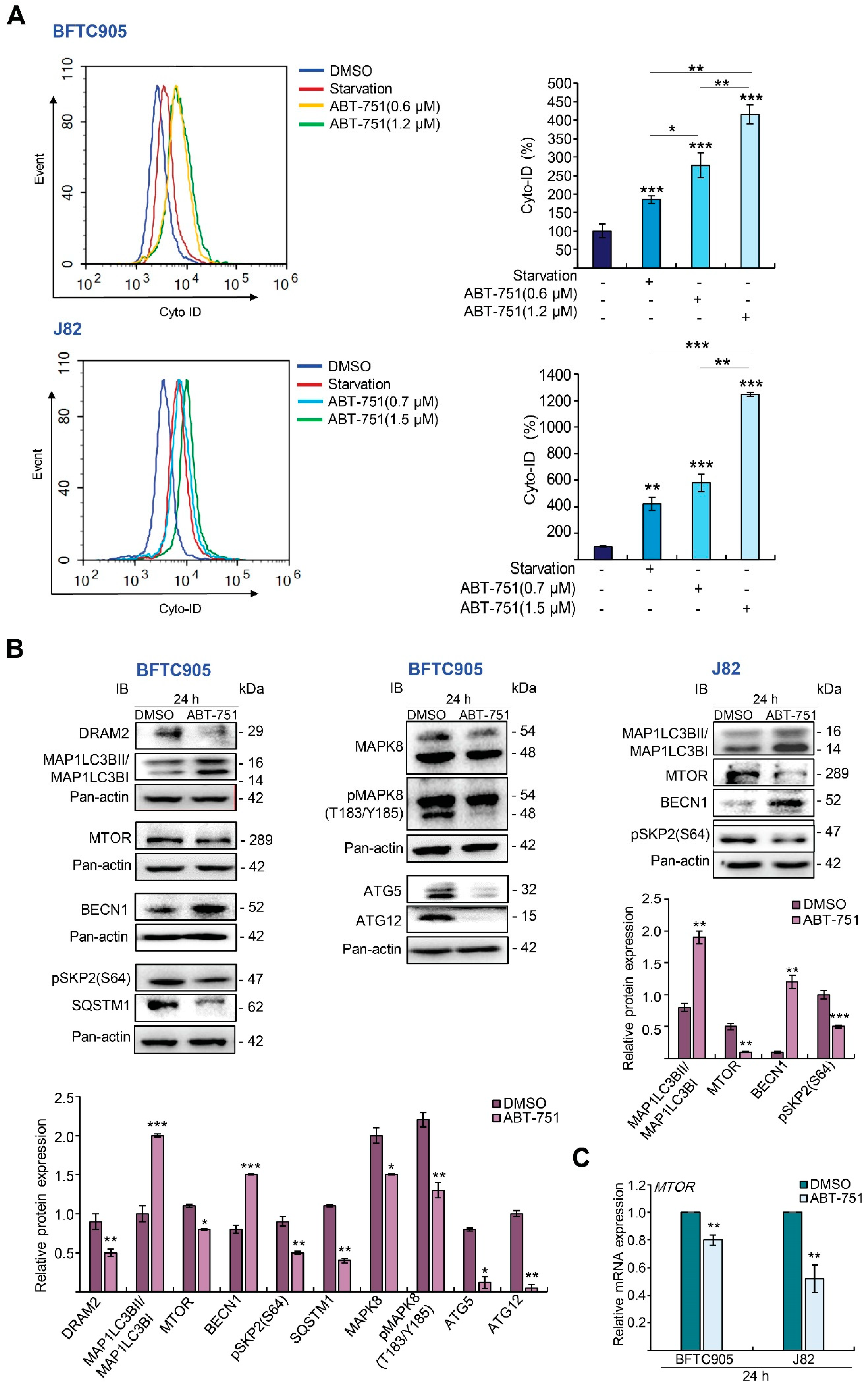 Ijms 22 00945 g003a Ijms 22 00945 g003a