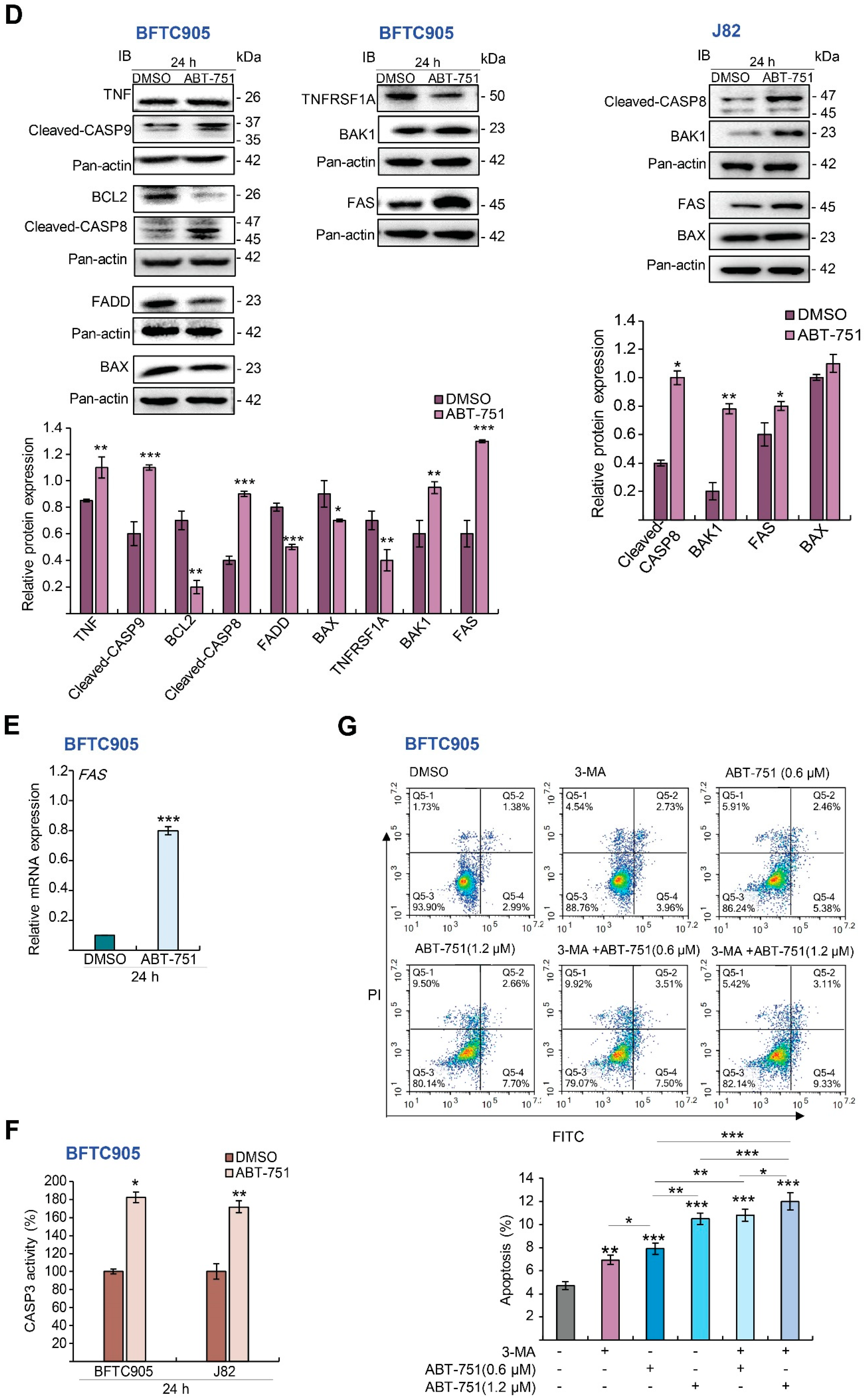 Ijms 22 00945 g003b Ijms 22 00945 g003b