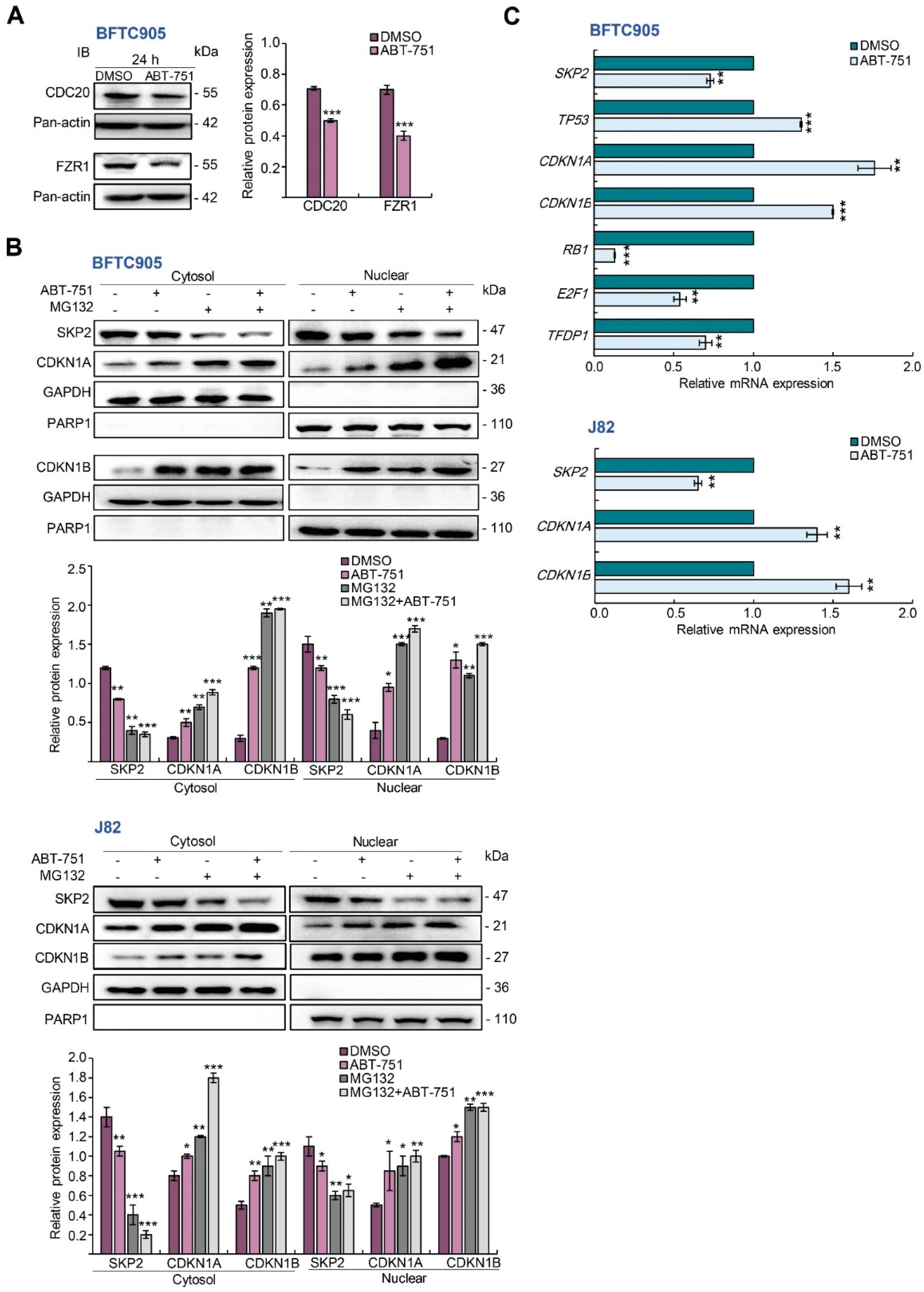 Ijms 22 00945 g004a Ijms 22 00945 g004a