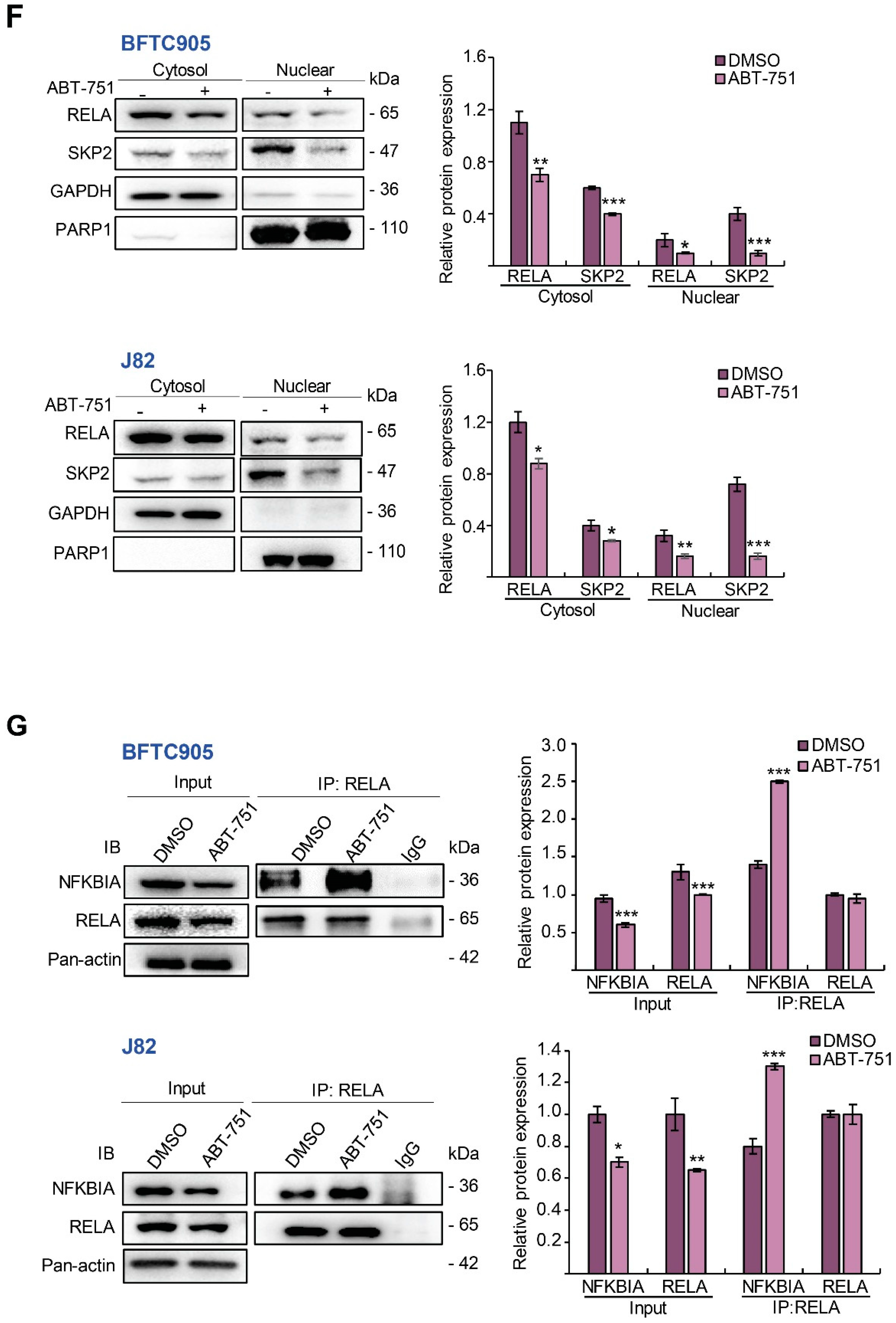 Ijms 22 00945 g004c Ijms 22 00945 g004c