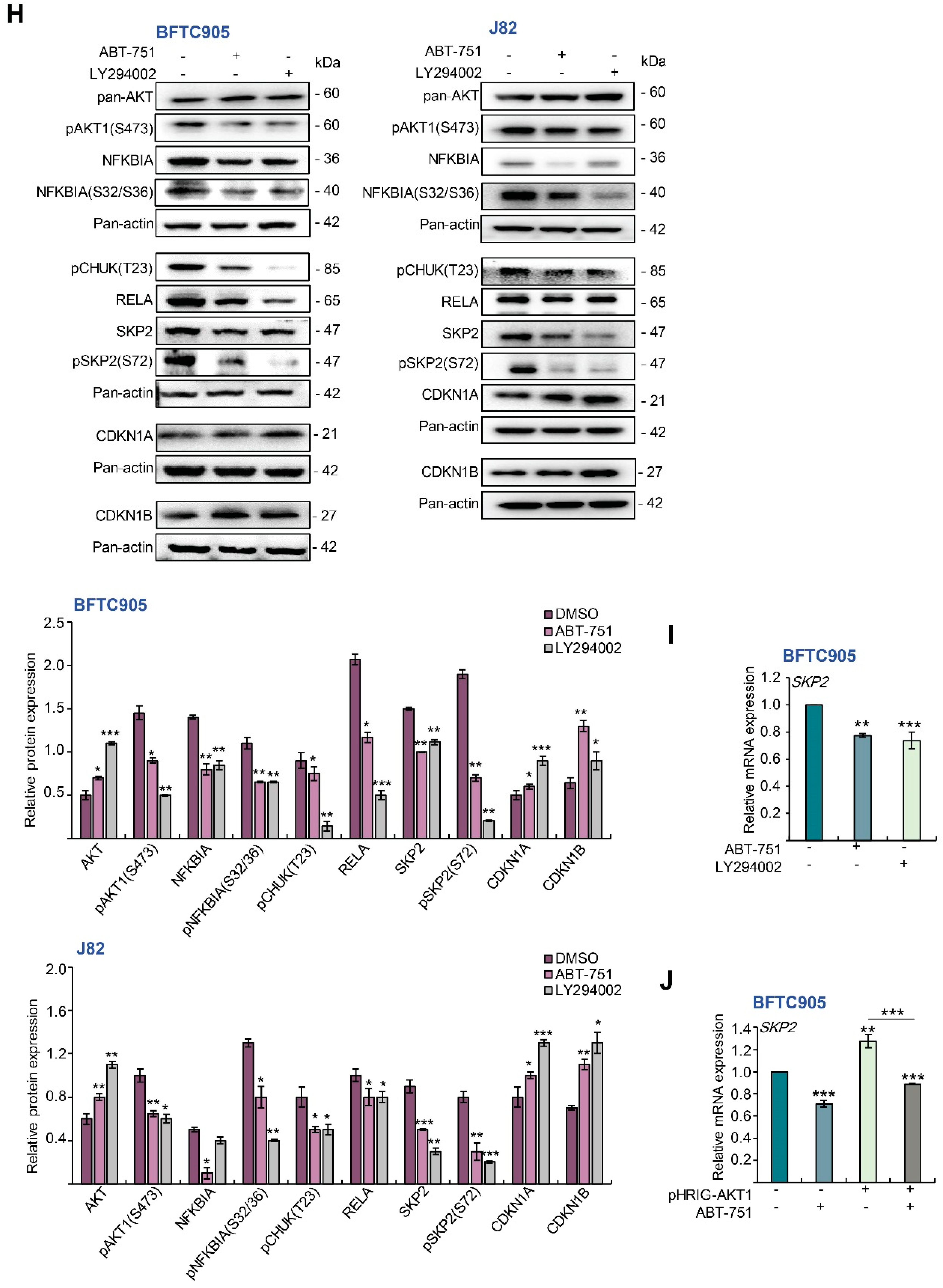 Ijms 22 00945 g004d Ijms 22 00945 g004d
