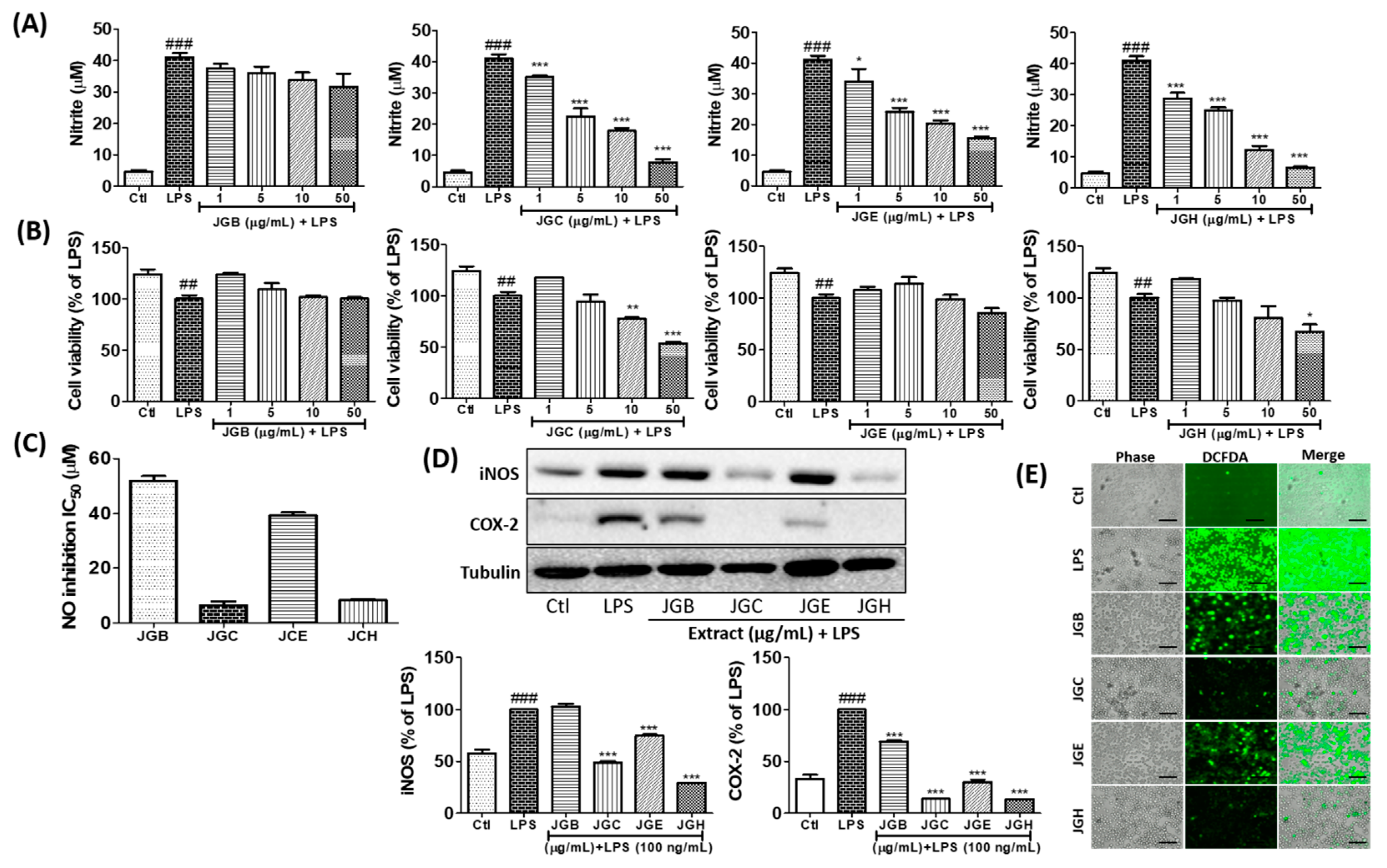 Ijms 22 00965 g001 Ijms 22 00965 g001