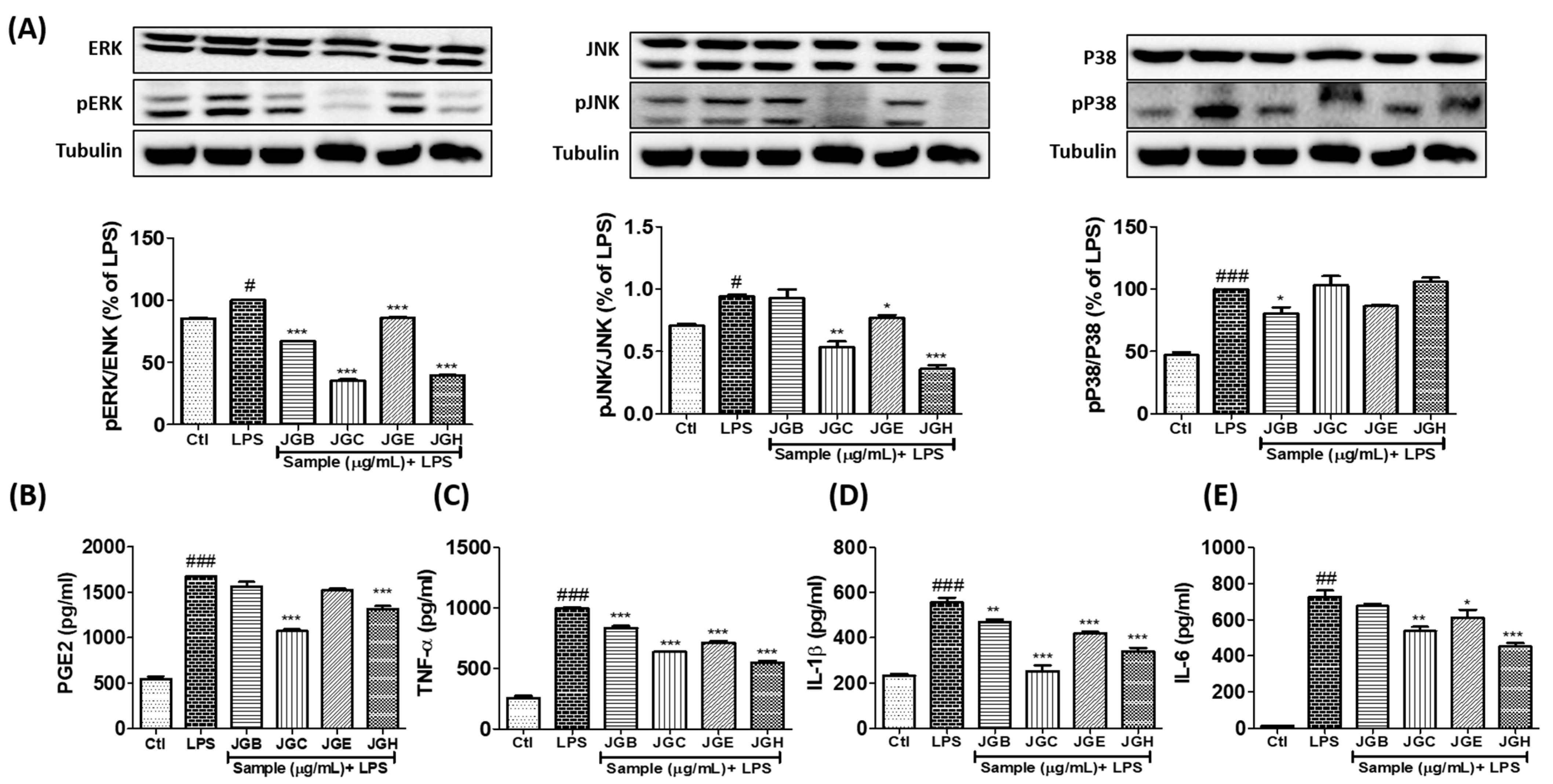 Ijms 22 00965 g002 Ijms 22 00965 g002