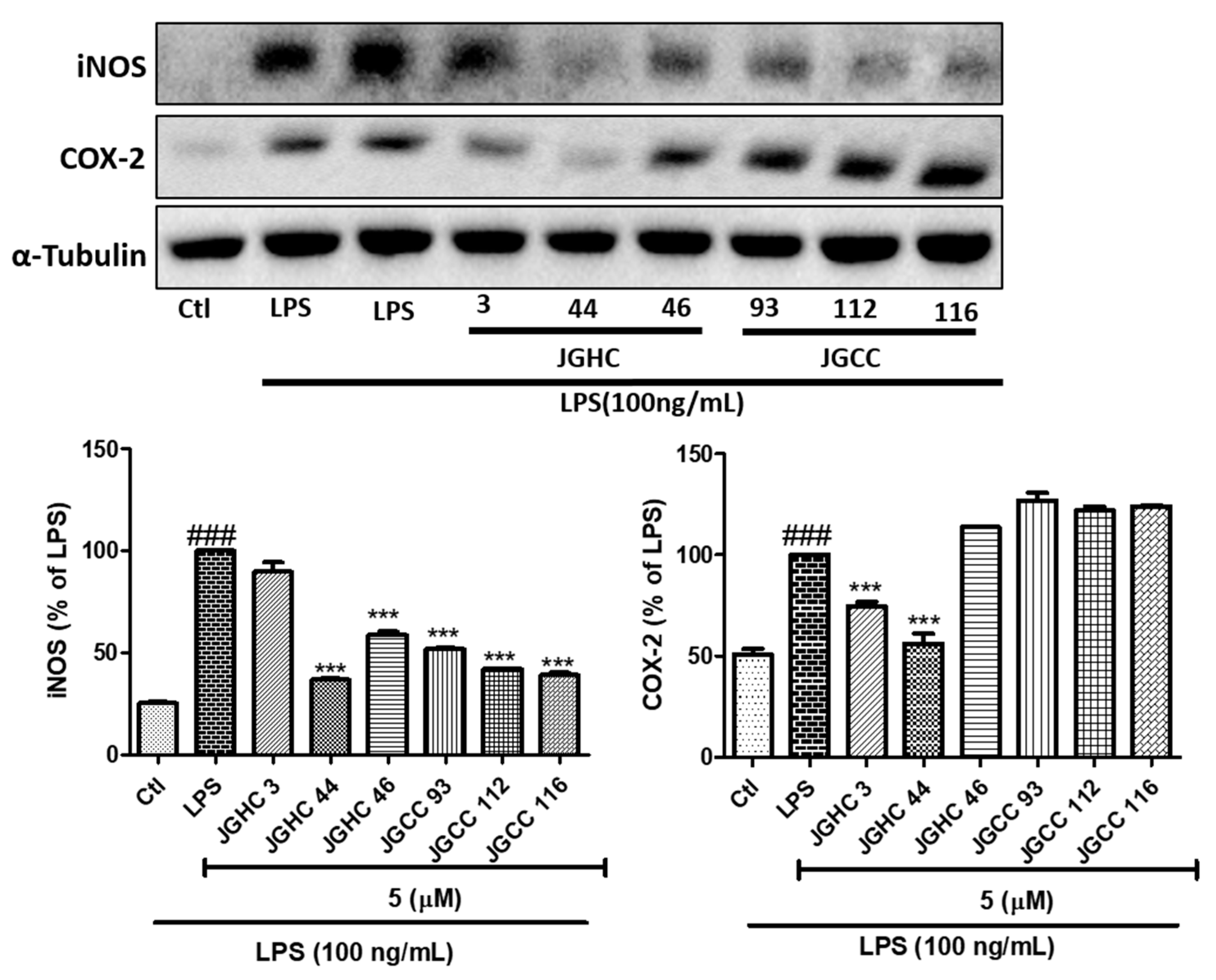 Ijms 22 00965 g004 Ijms 22 00965 g004