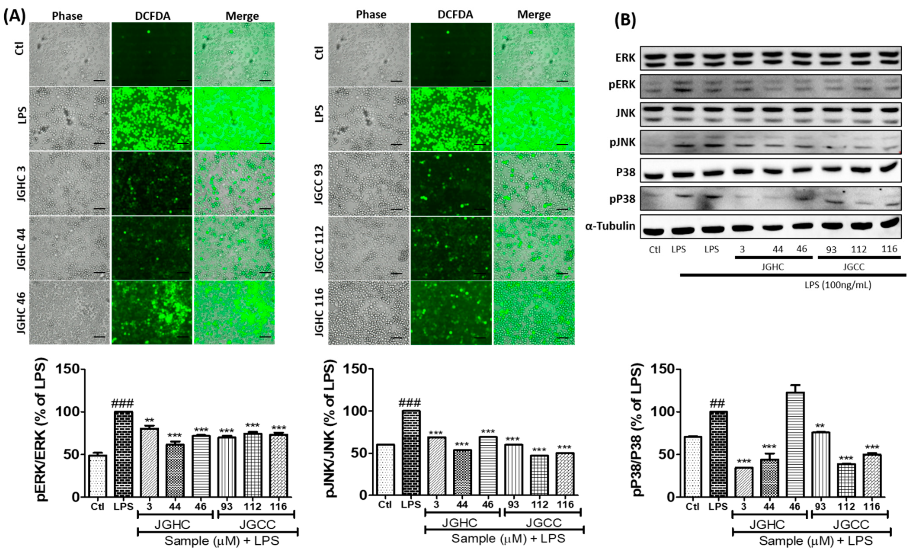 Ijms 22 00965 g005 Ijms 22 00965 g005