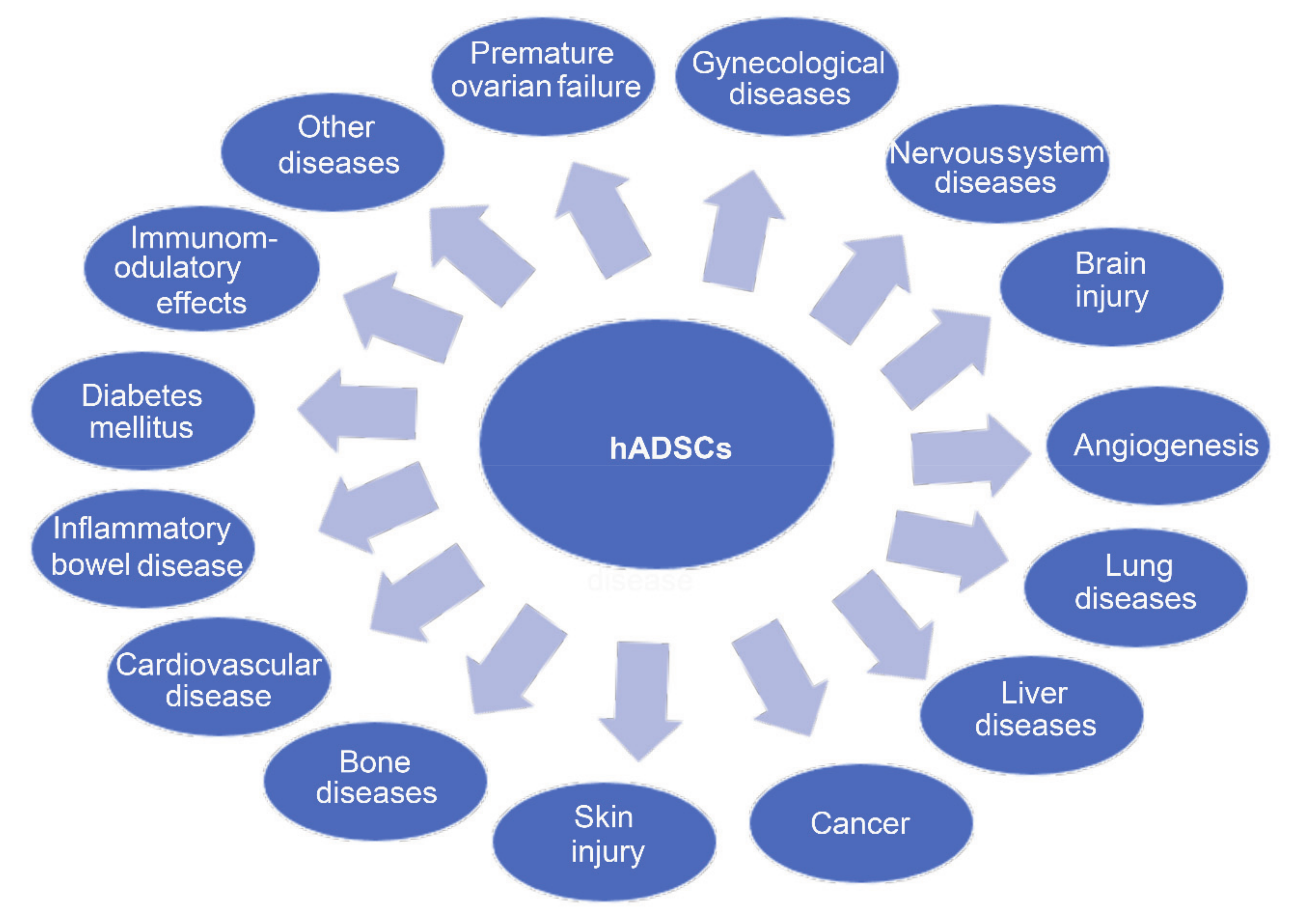 Ijms 22 00970 g003 Ijms 22 00970 g003