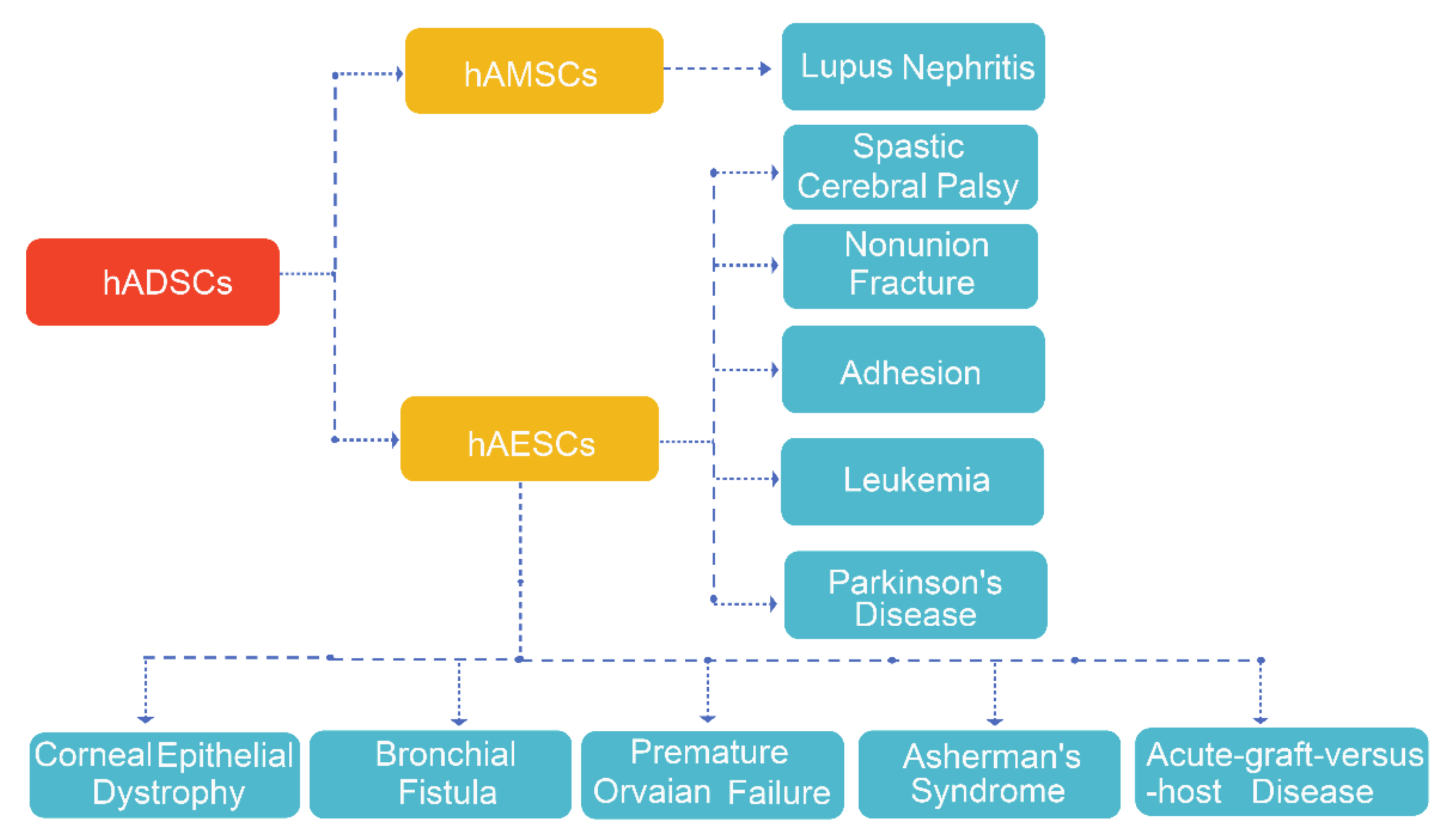 Ijms 22 00970 g004 Ijms 22 00970 g004