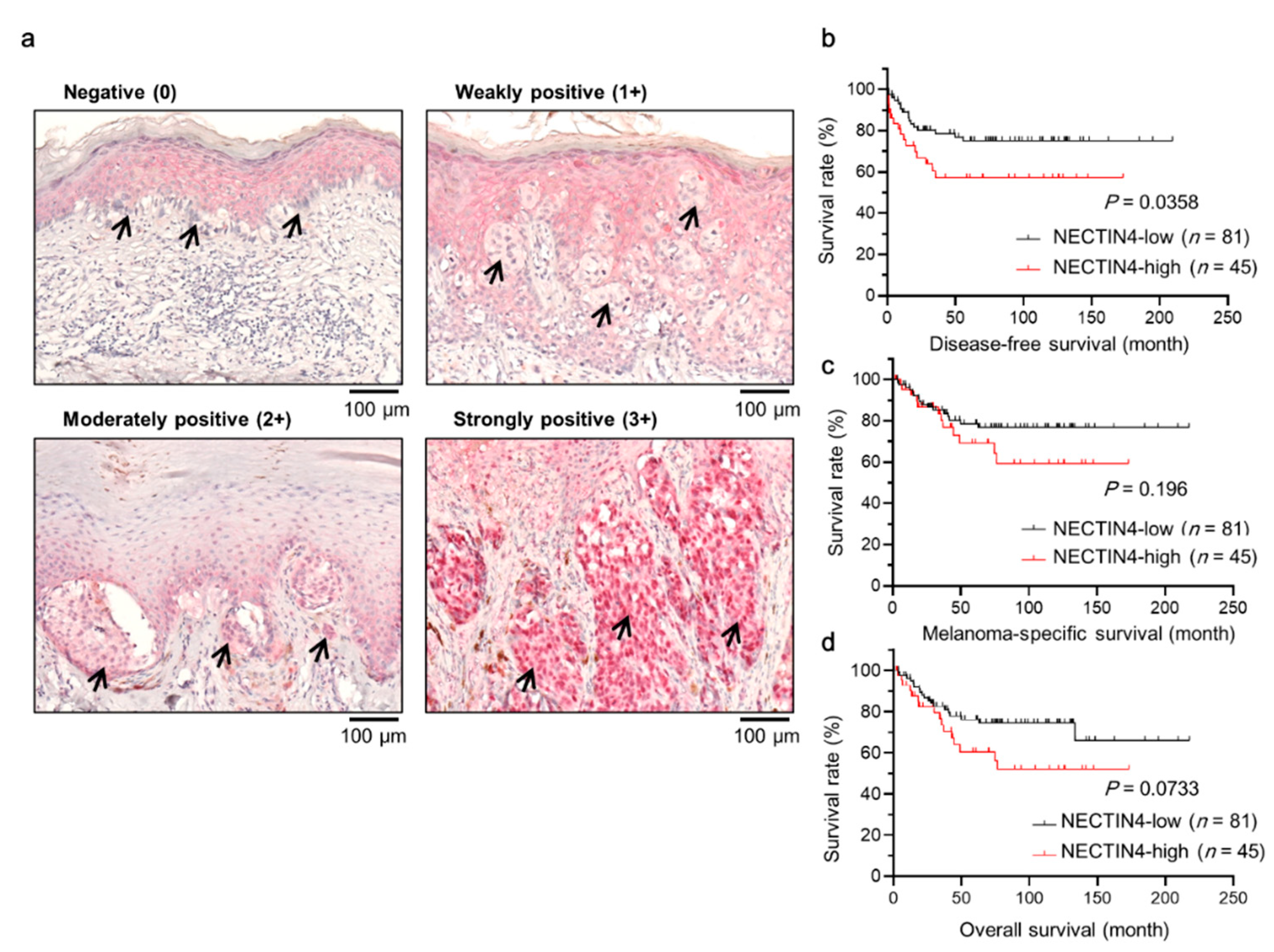 Ijms 22 00976 g001 Ijms 22 00976 g001