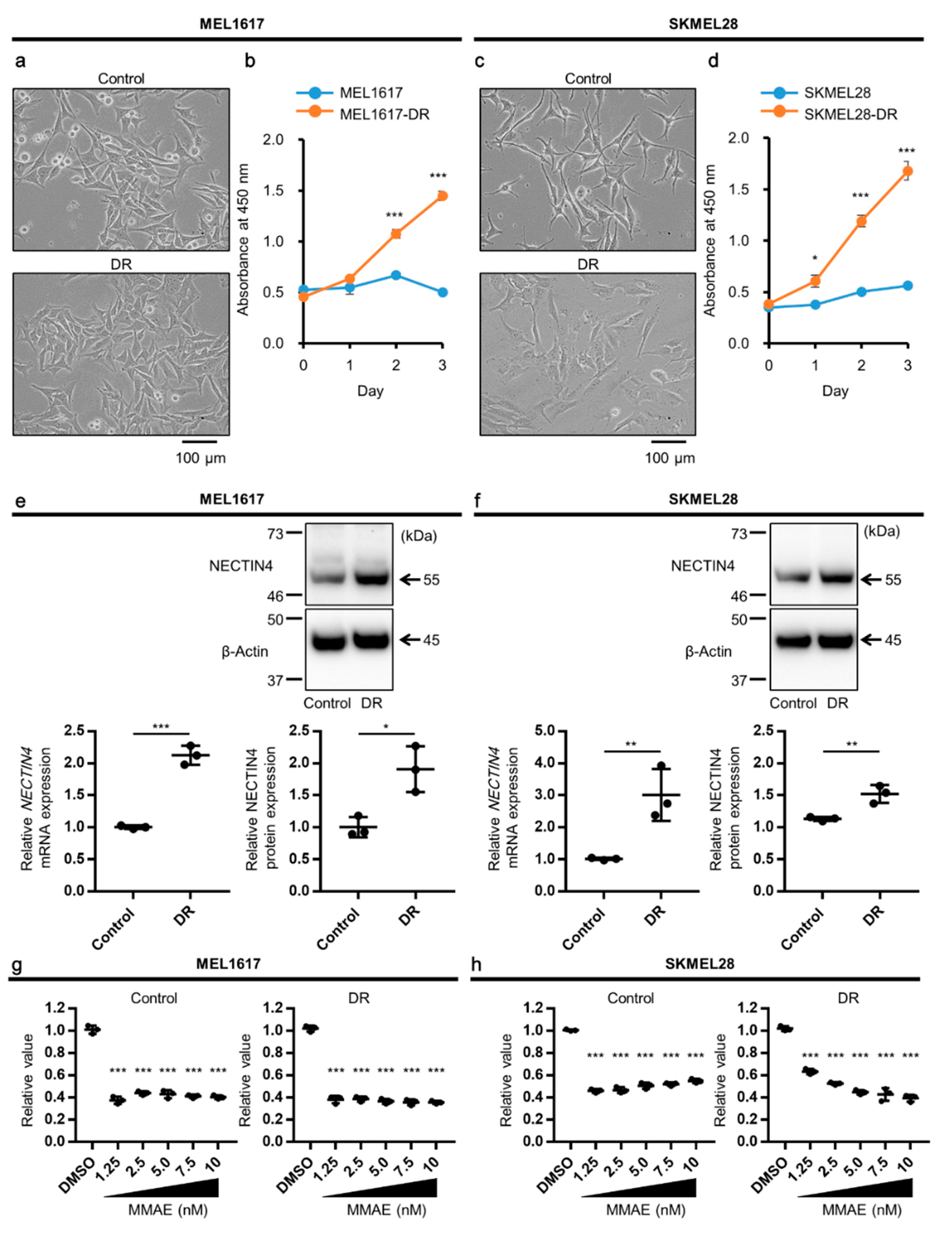 Ijms 22 00976 g002 Ijms 22 00976 g002