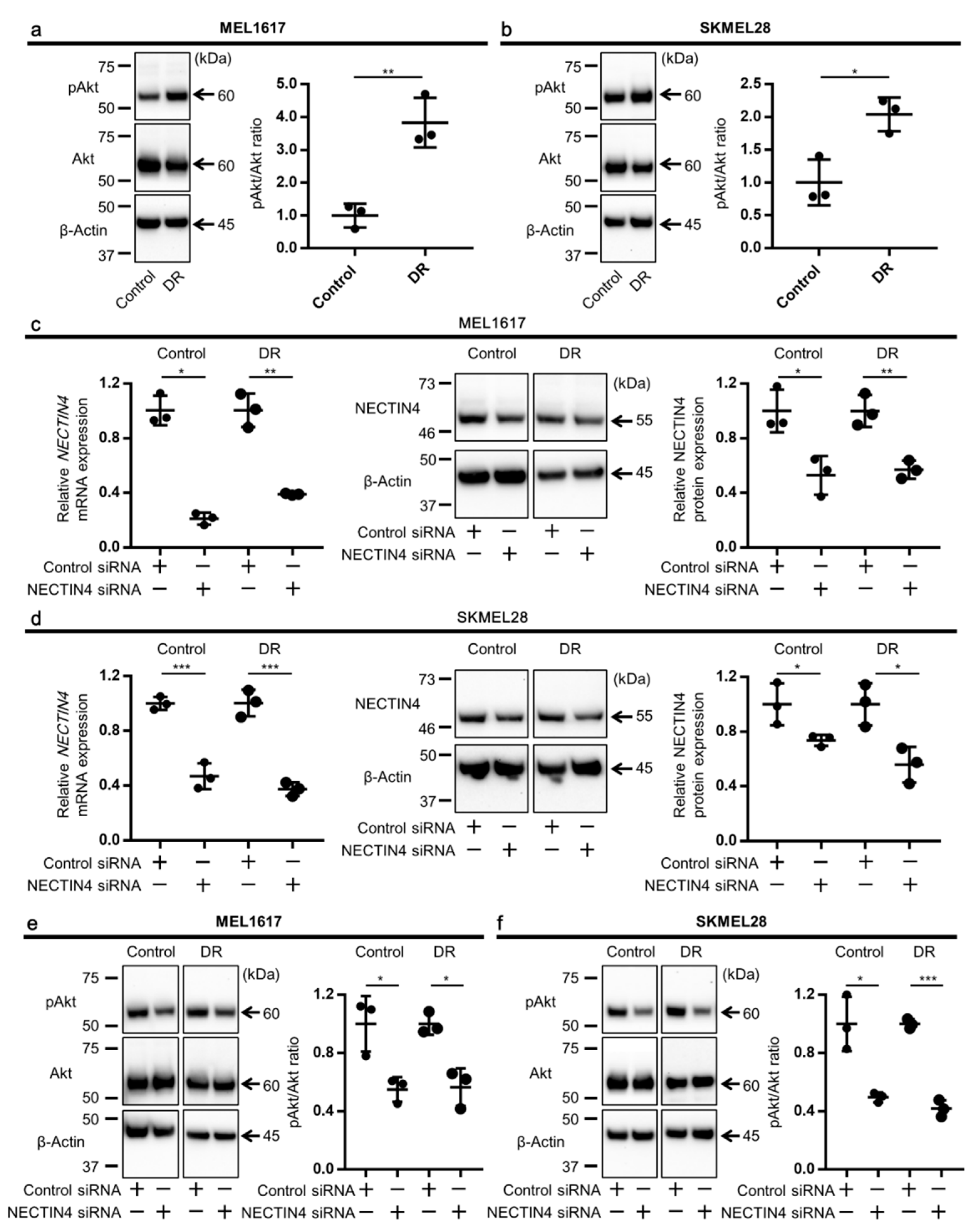 Ijms 22 00976 g003 Ijms 22 00976 g003