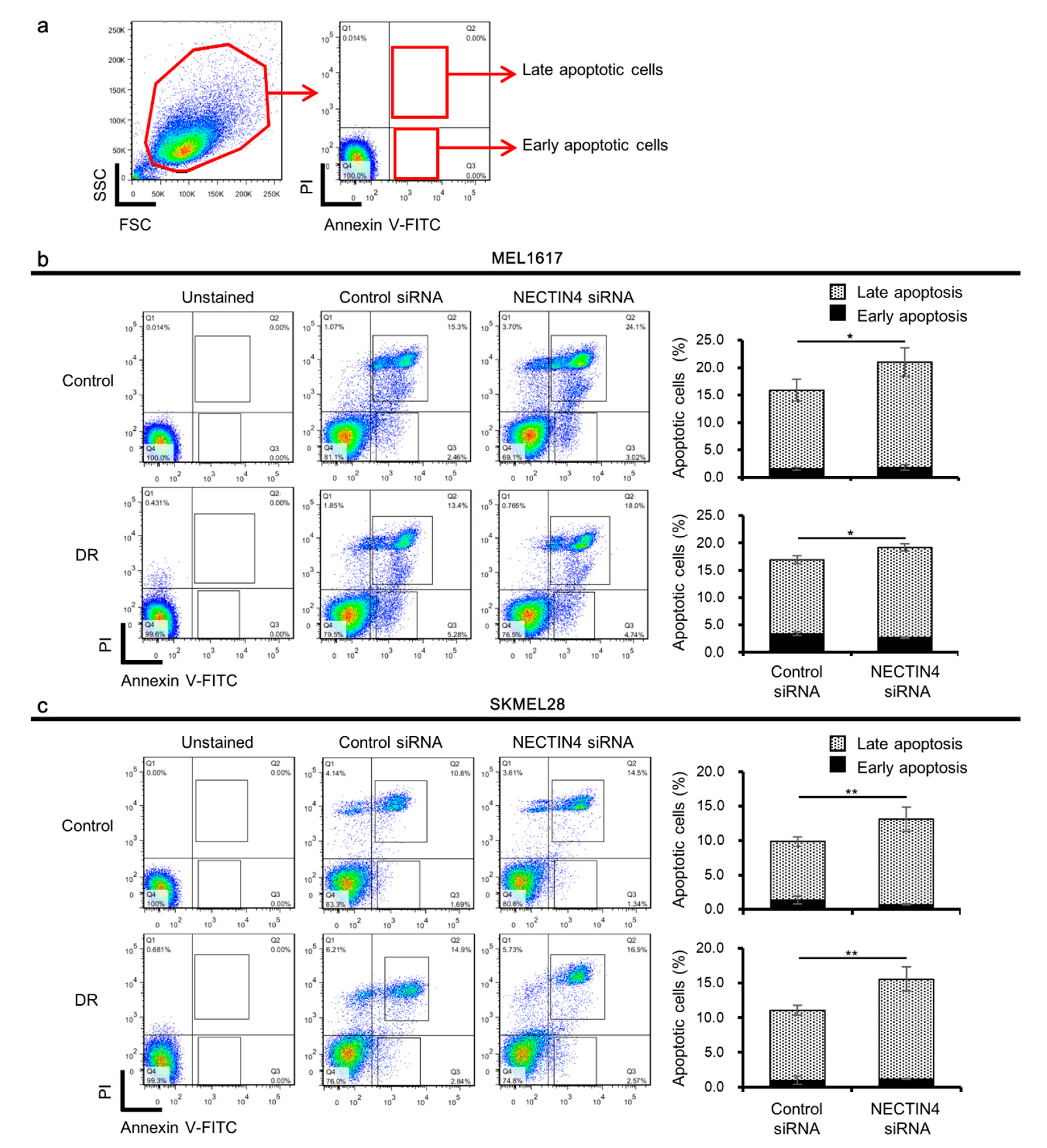 Ijms 22 00976 g004 Ijms 22 00976 g004