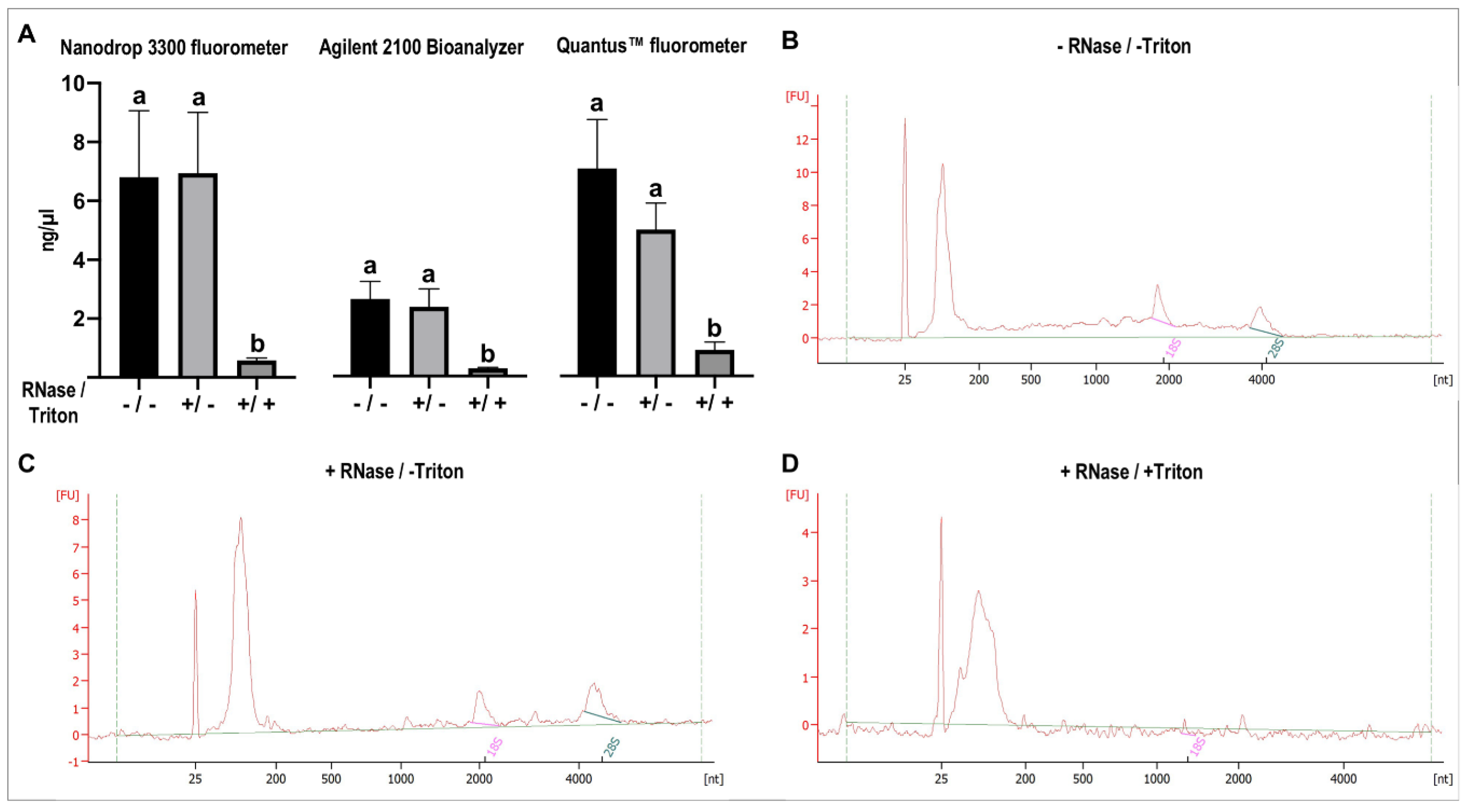 Ijms 22 00979 g009 Ijms 22 00979 g009
