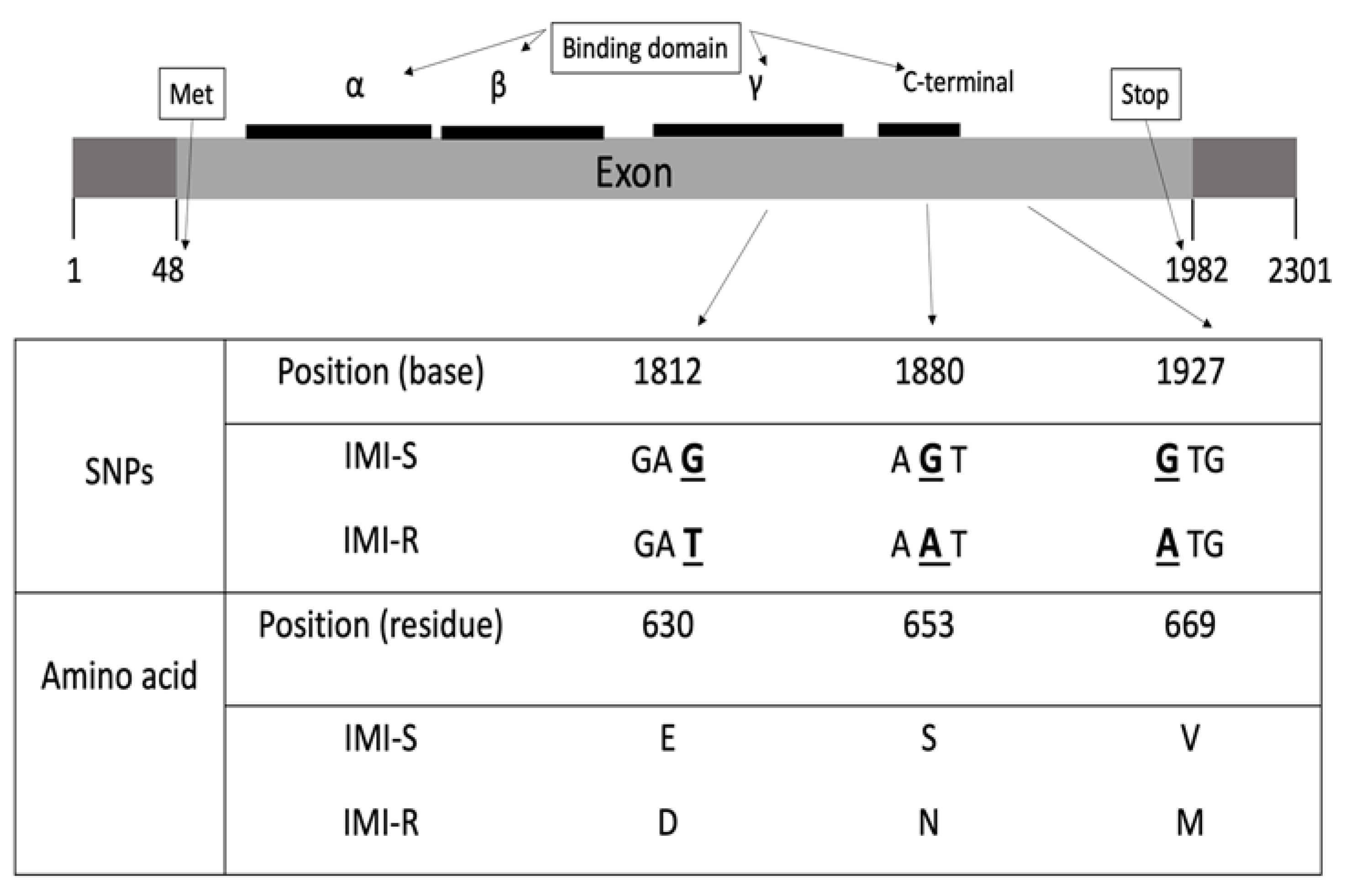 Ijms 22 00982 g001 Ijms 22 00982 g001
