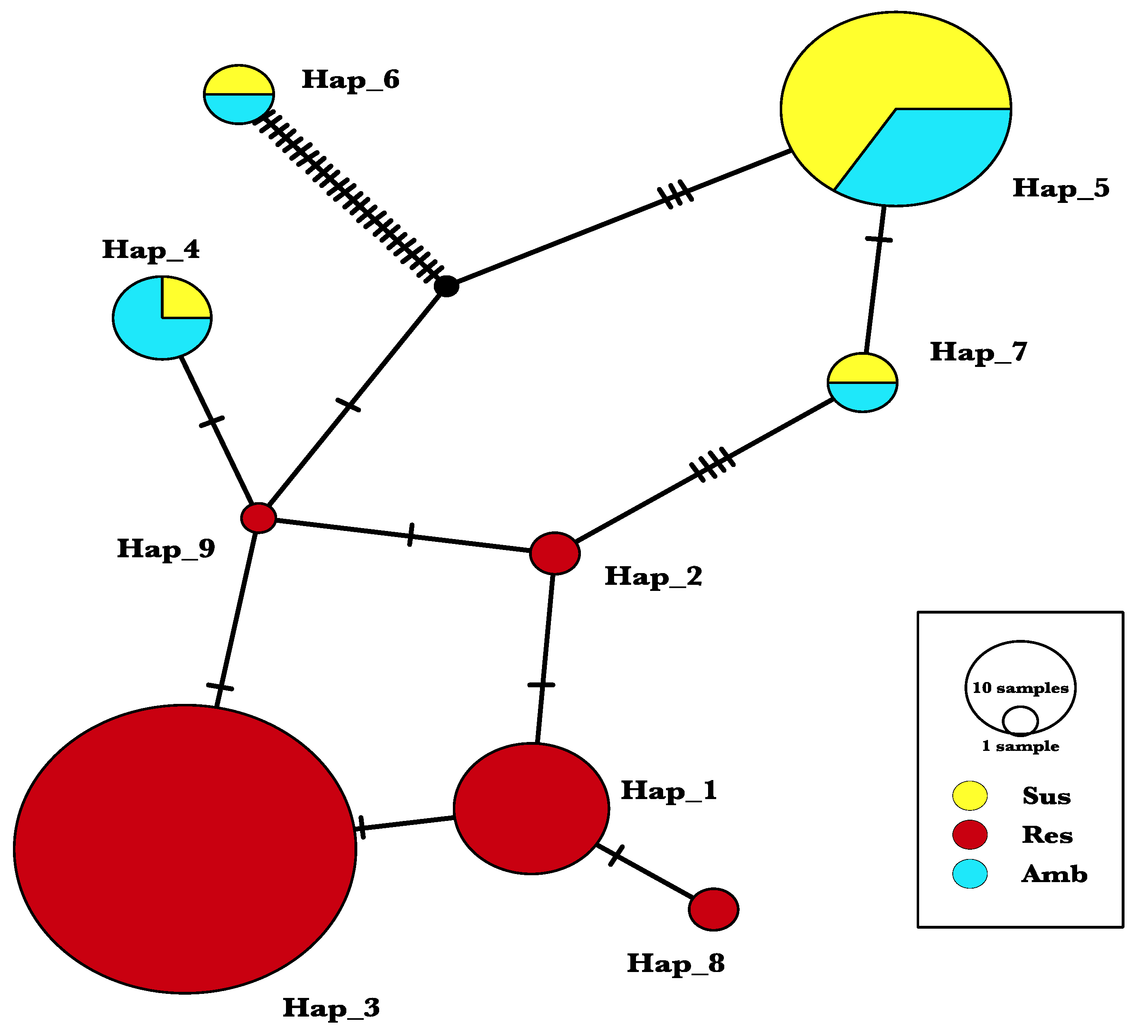 Ijms 22 00982 g002 Ijms 22 00982 g002
