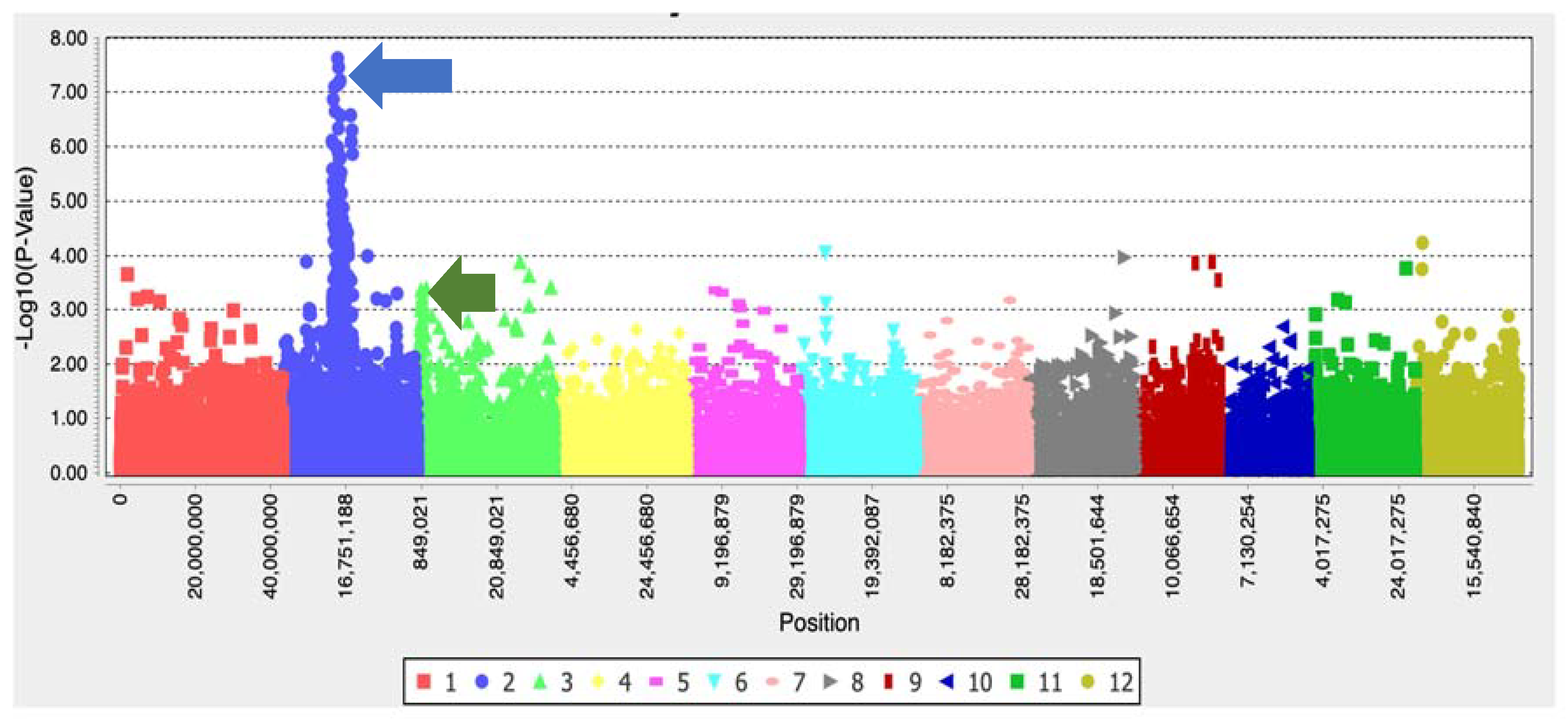 Ijms 22 00982 g004 Ijms 22 00982 g004