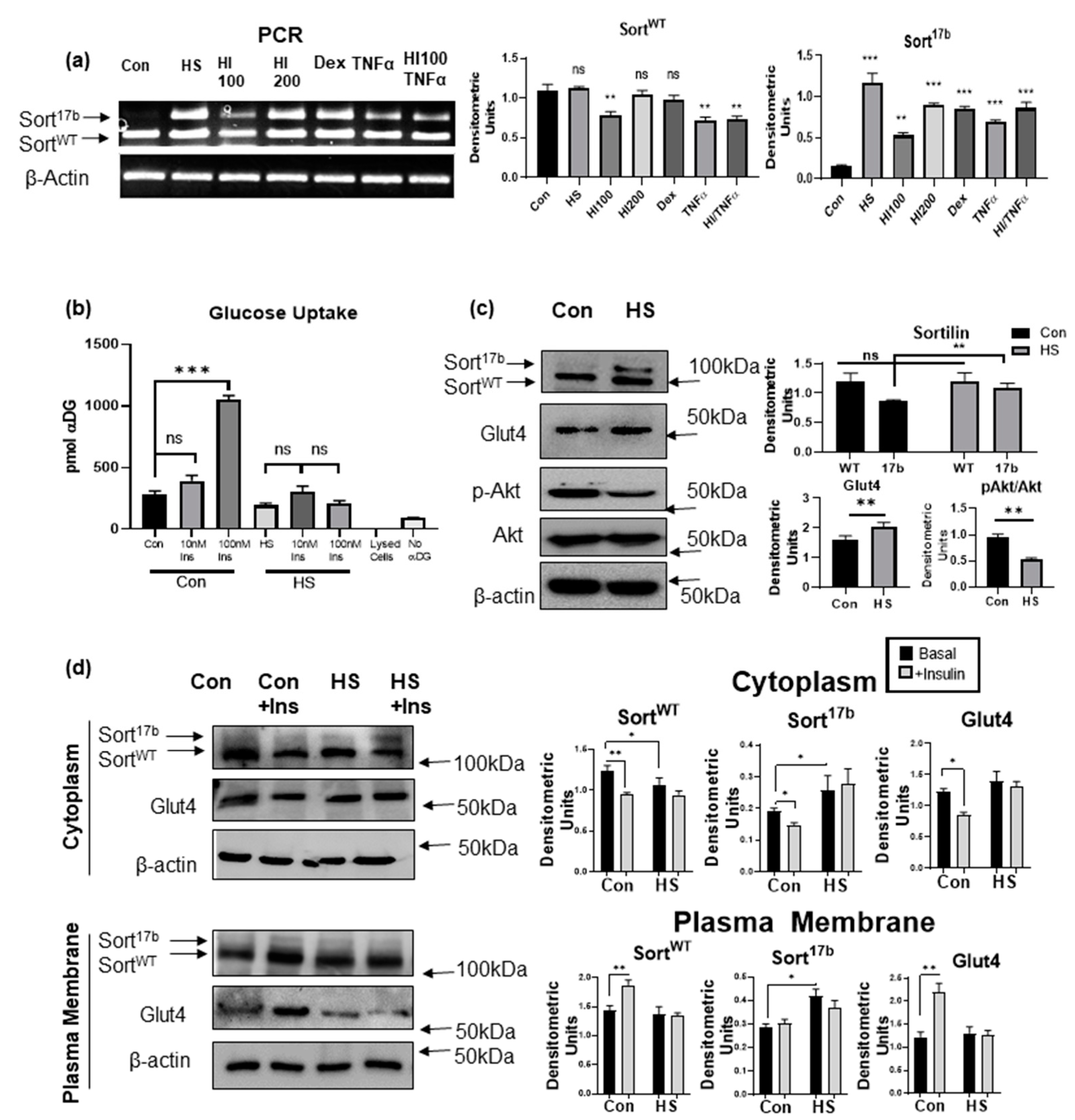 Ijms 22 00983 g003 Ijms 22 00983 g003