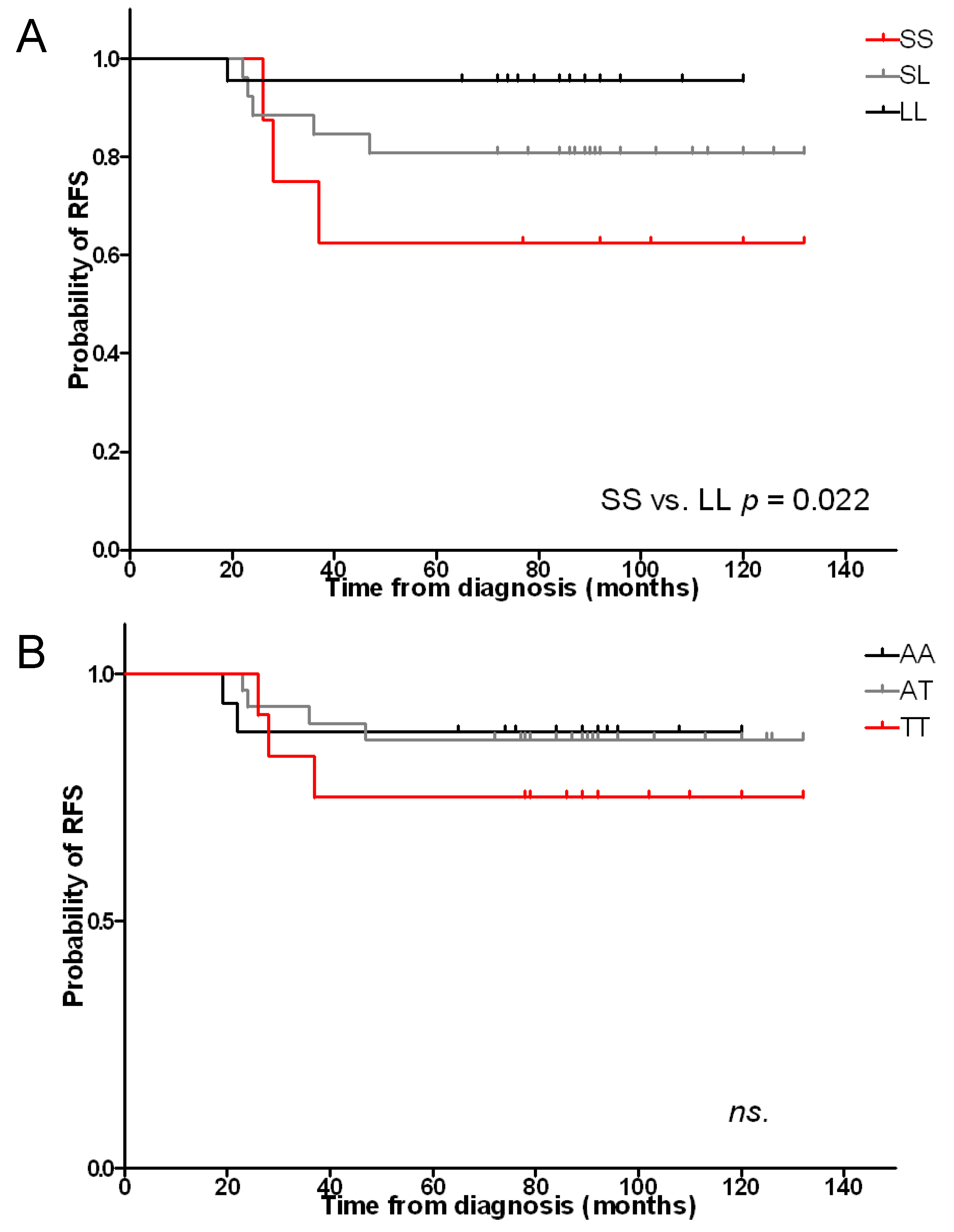 Ijms 22 00988 g001 Ijms 22 00988 g001