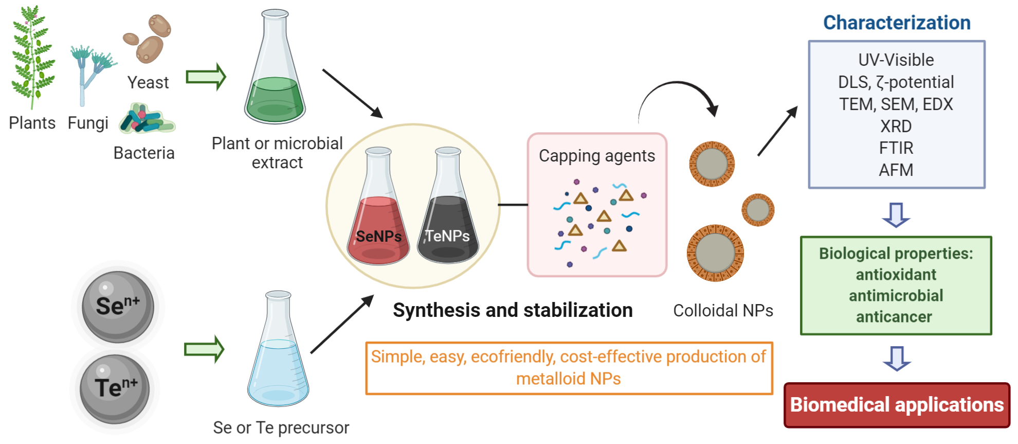 IJMS Free FullText Green Synthesis of Selenium and Tellurium