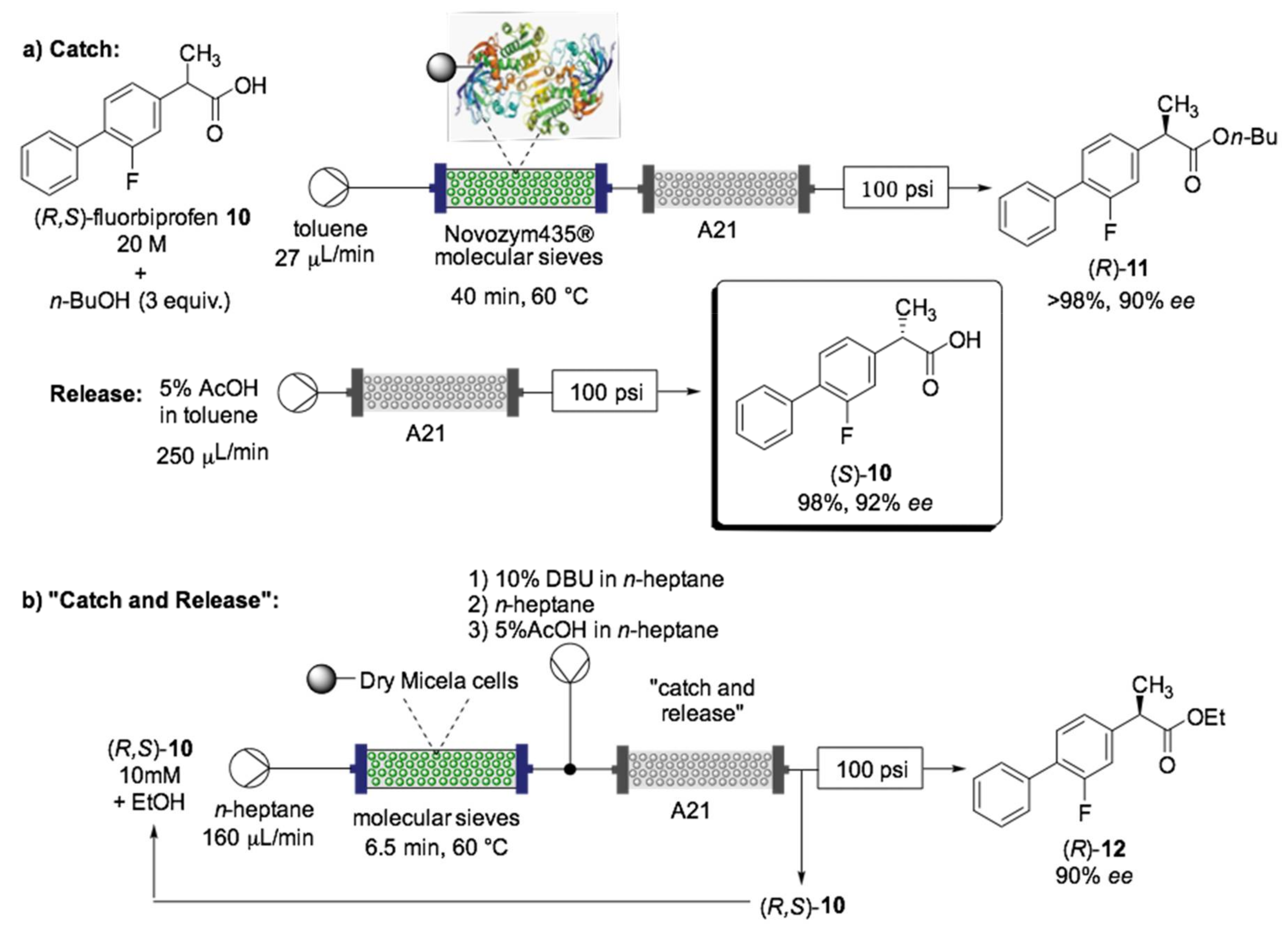 Ijms 22 00990 sch008