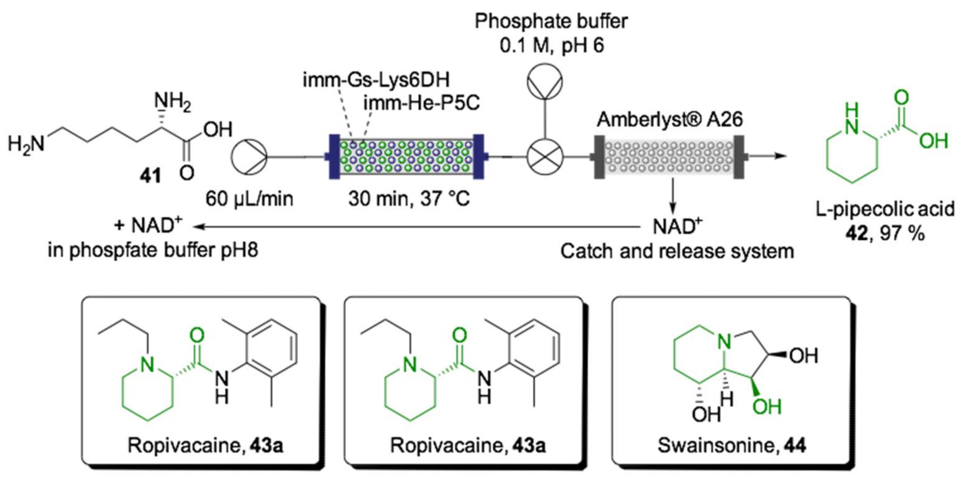 Ijms 22 00990 sch016