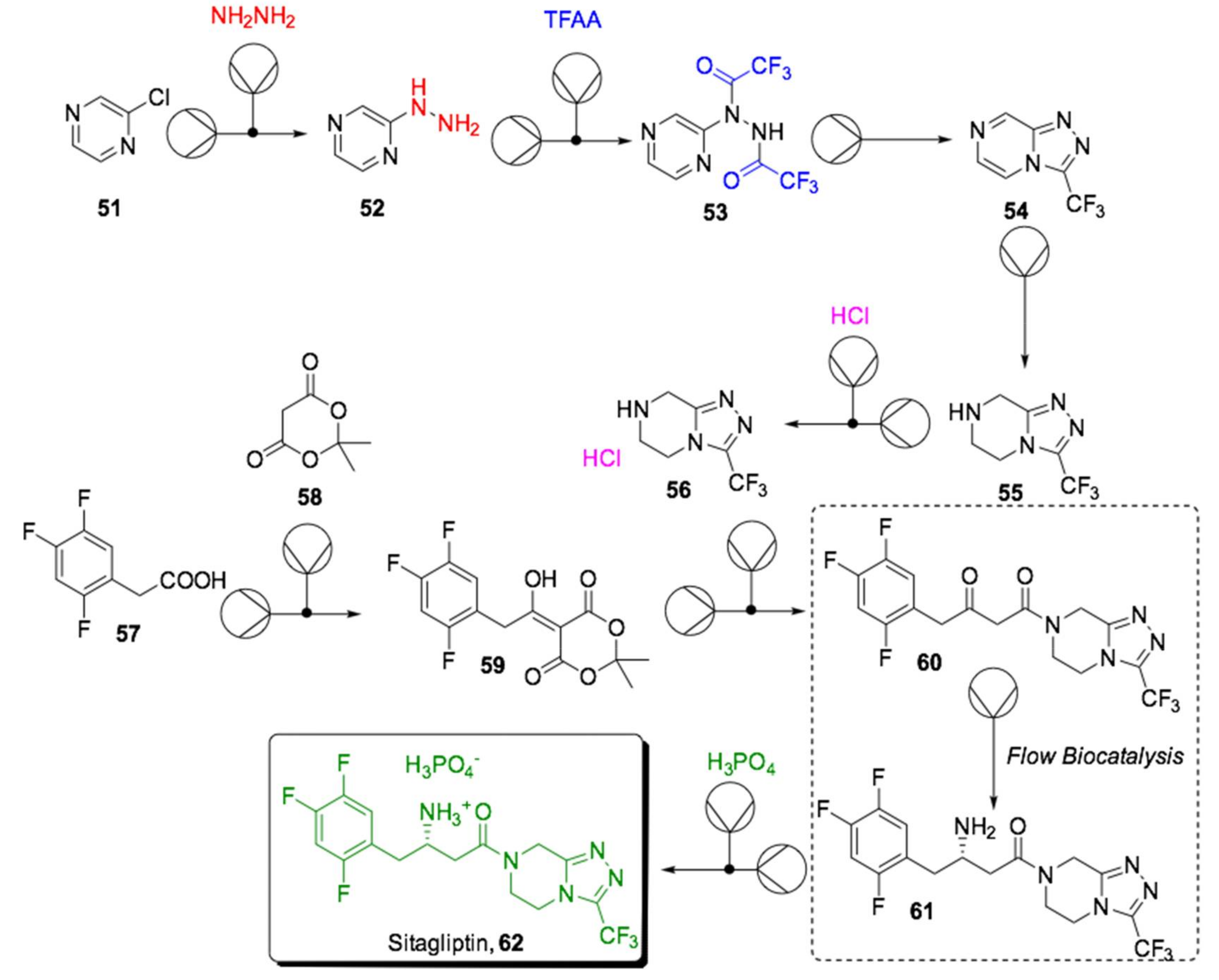 Ijms 22 00990 sch018