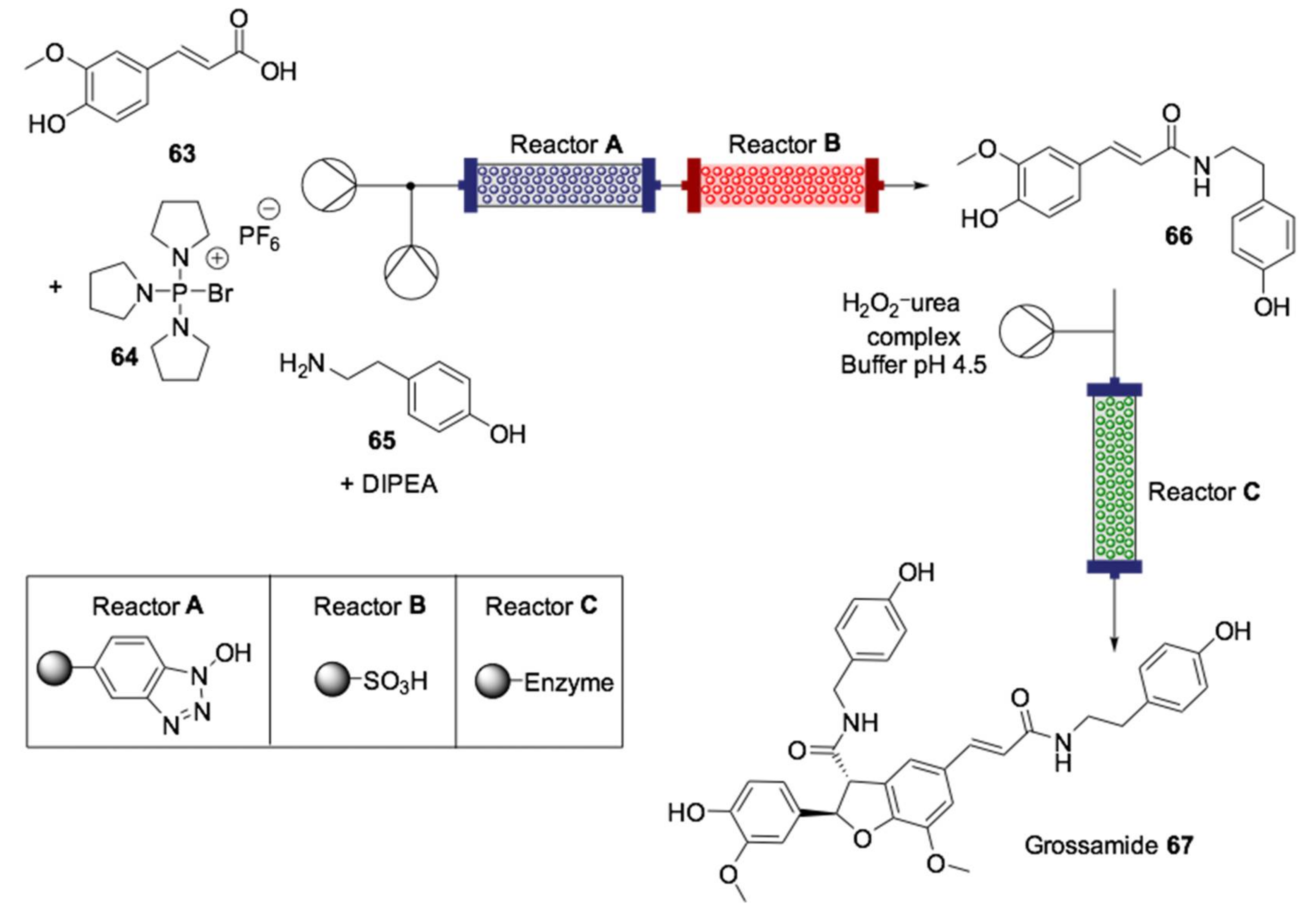 Ijms 22 00990 sch019