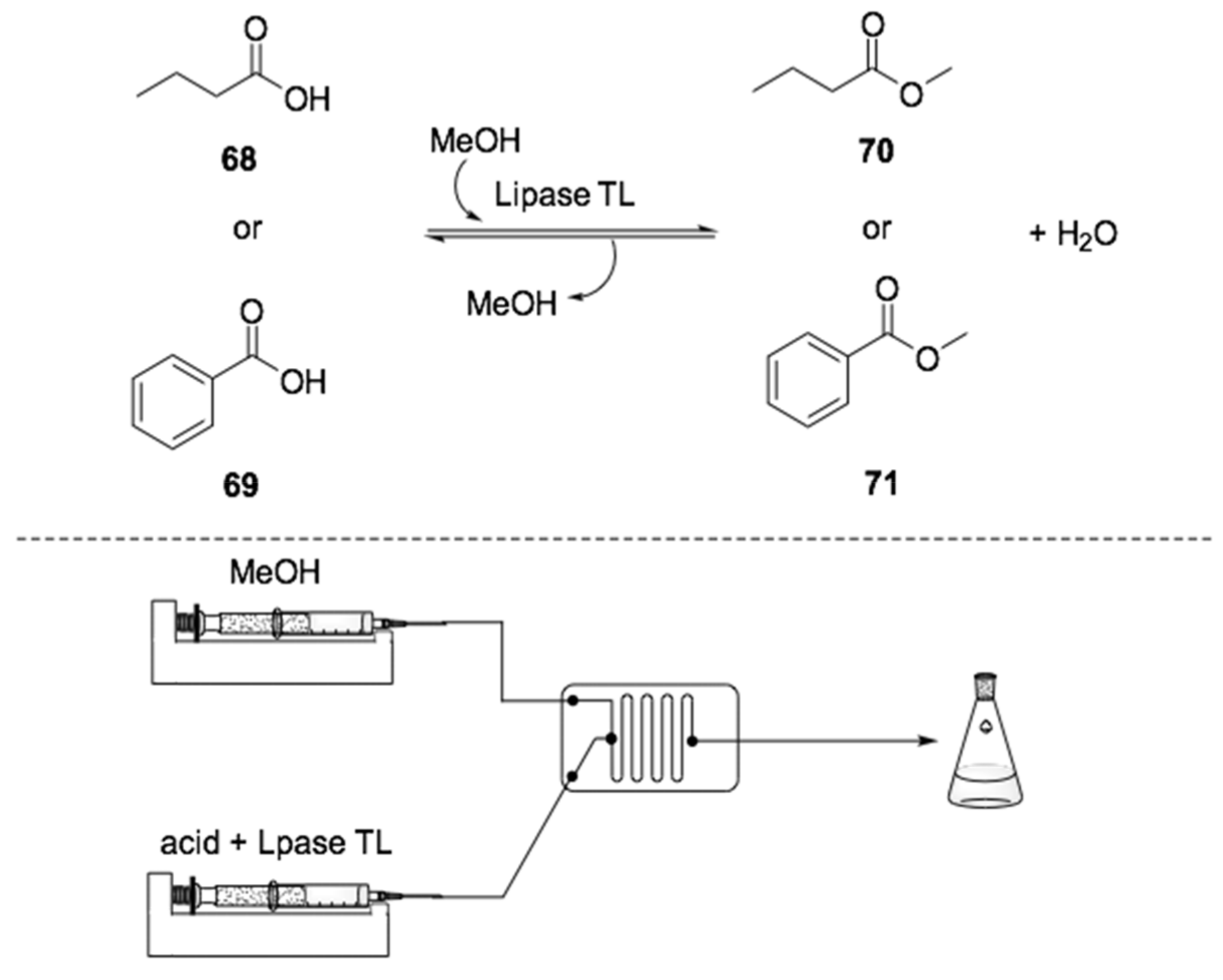Ijms 22 00990 sch020