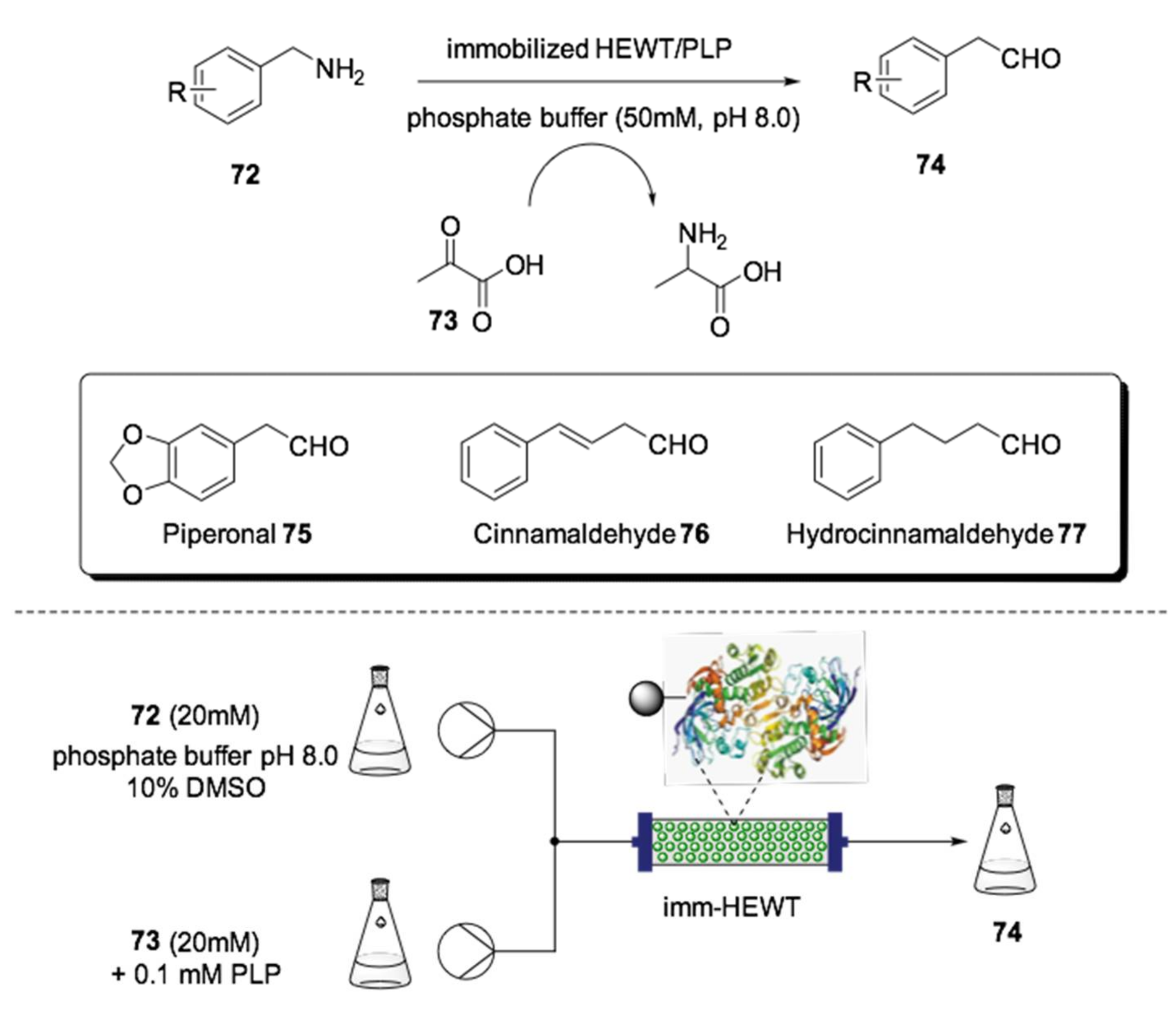 Ijms 22 00990 sch021