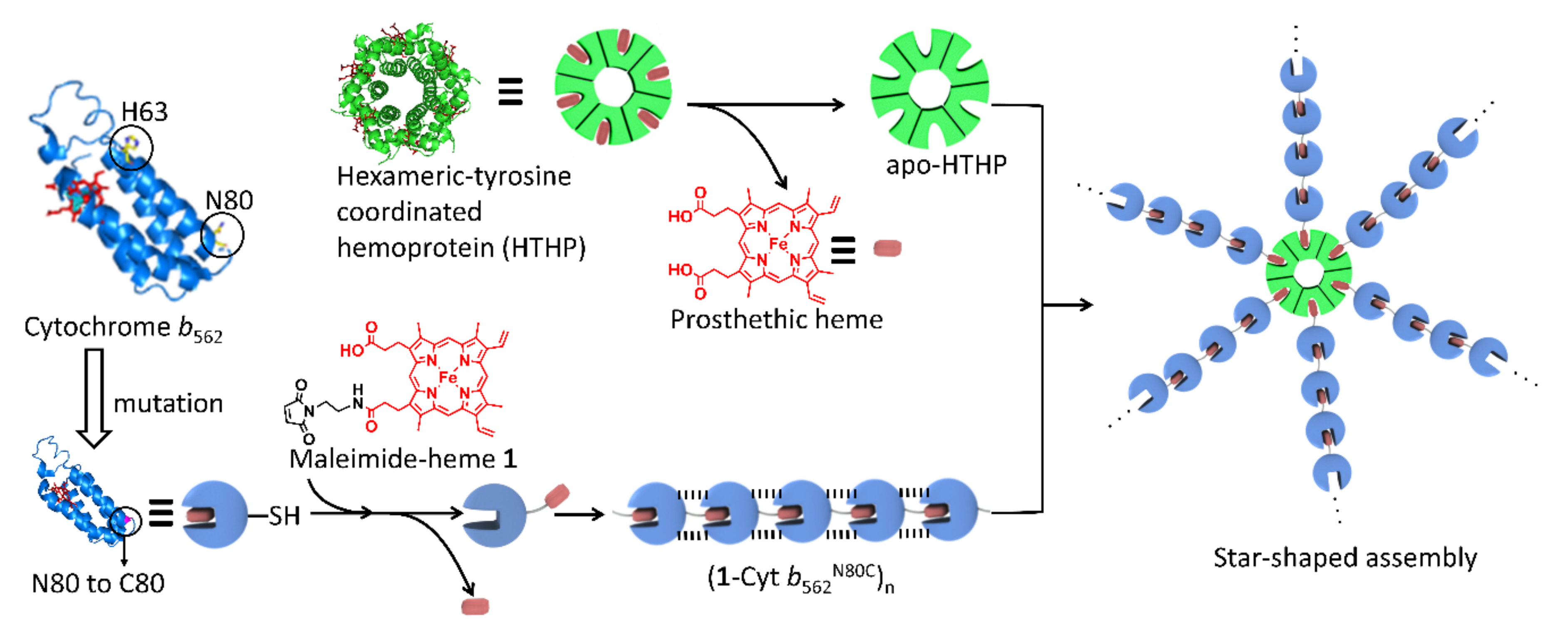 Ijms 22 01012 g001 Ijms 22 01012 g001