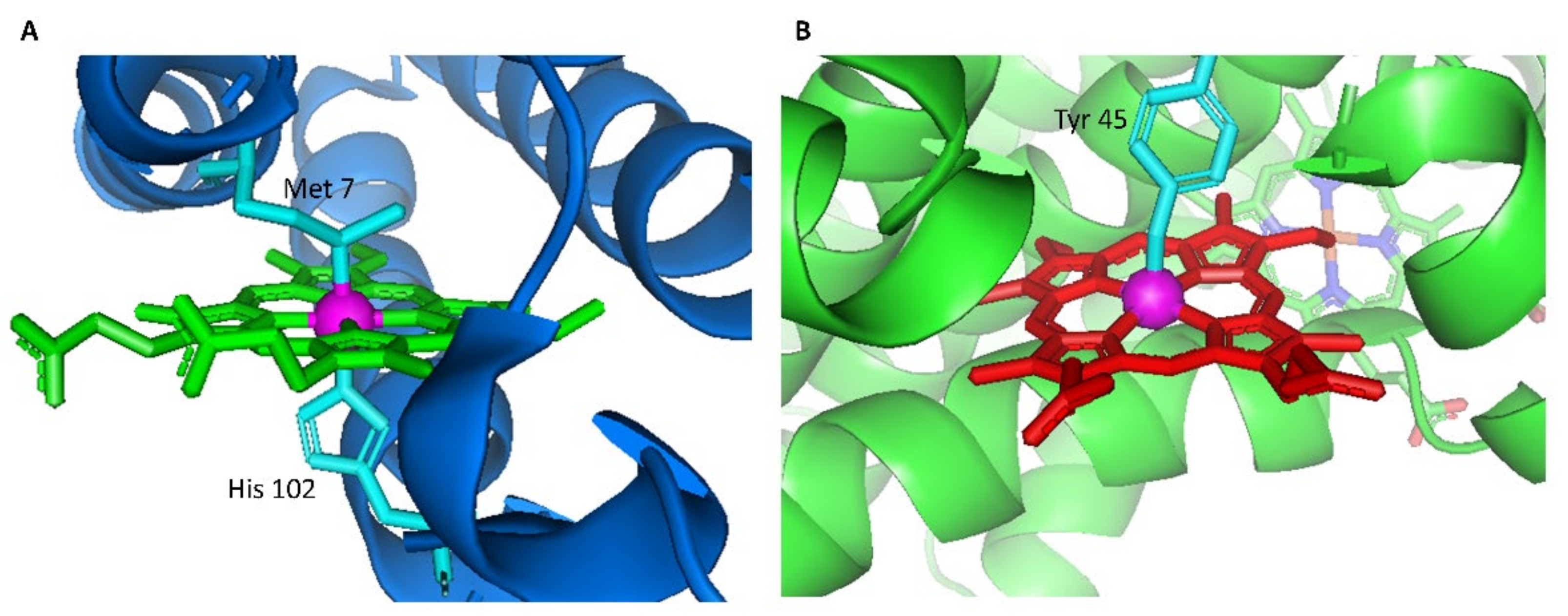 Ijms 22 01012 g002 Ijms 22 01012 g002