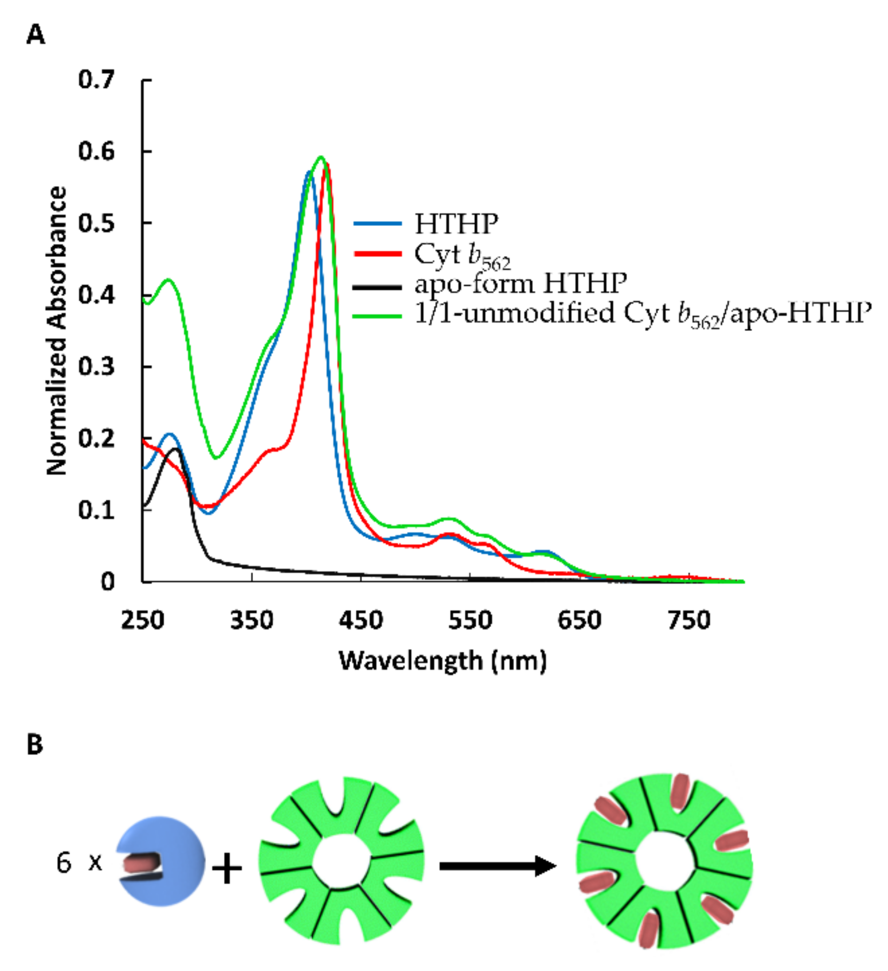 Ijms 22 01012 g003 Ijms 22 01012 g003
