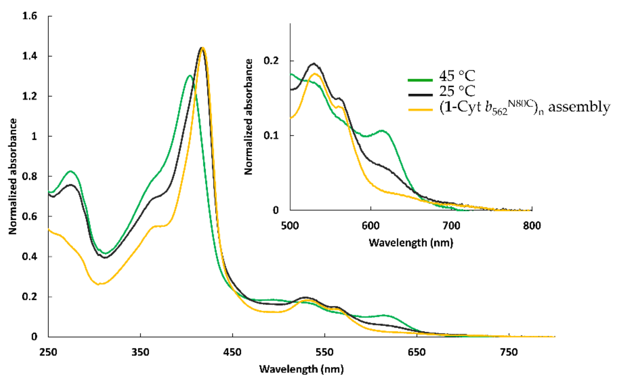 Ijms 22 01012 g004 Ijms 22 01012 g004