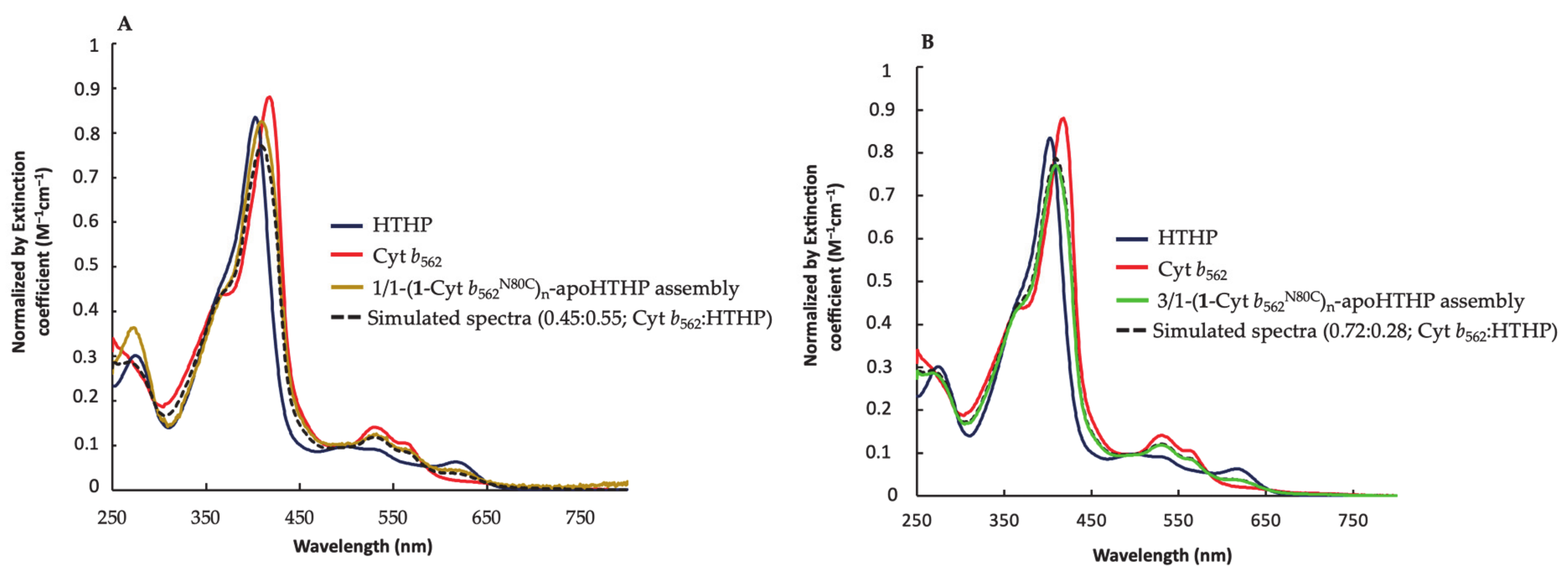 Ijms 22 01012 g006 Ijms 22 01012 g006