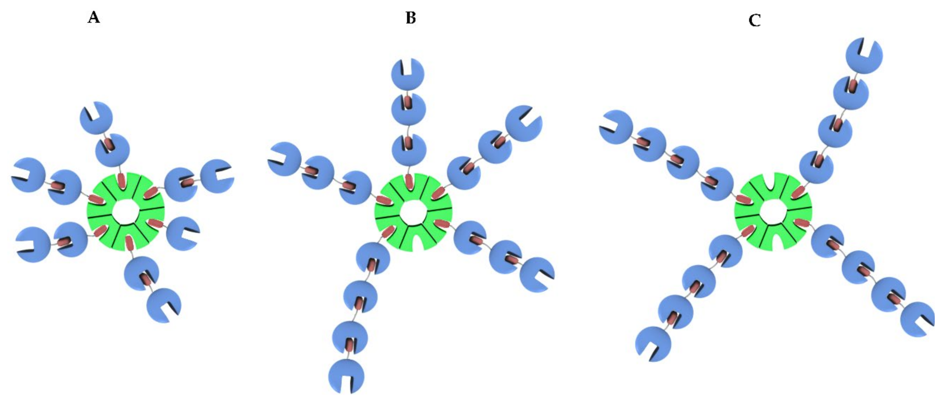Ijms 22 01012 g008 Ijms 22 01012 g008