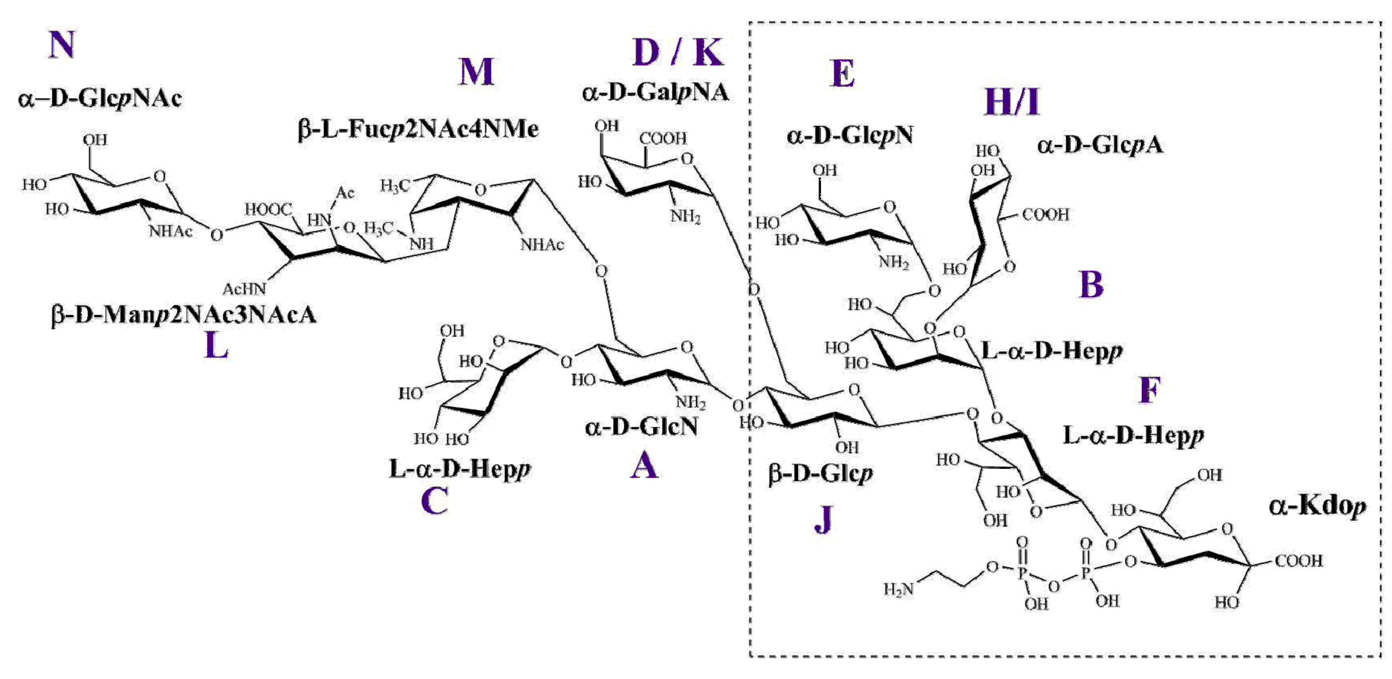 Ijms 22 01029 g006 Ijms 22 01029 g006