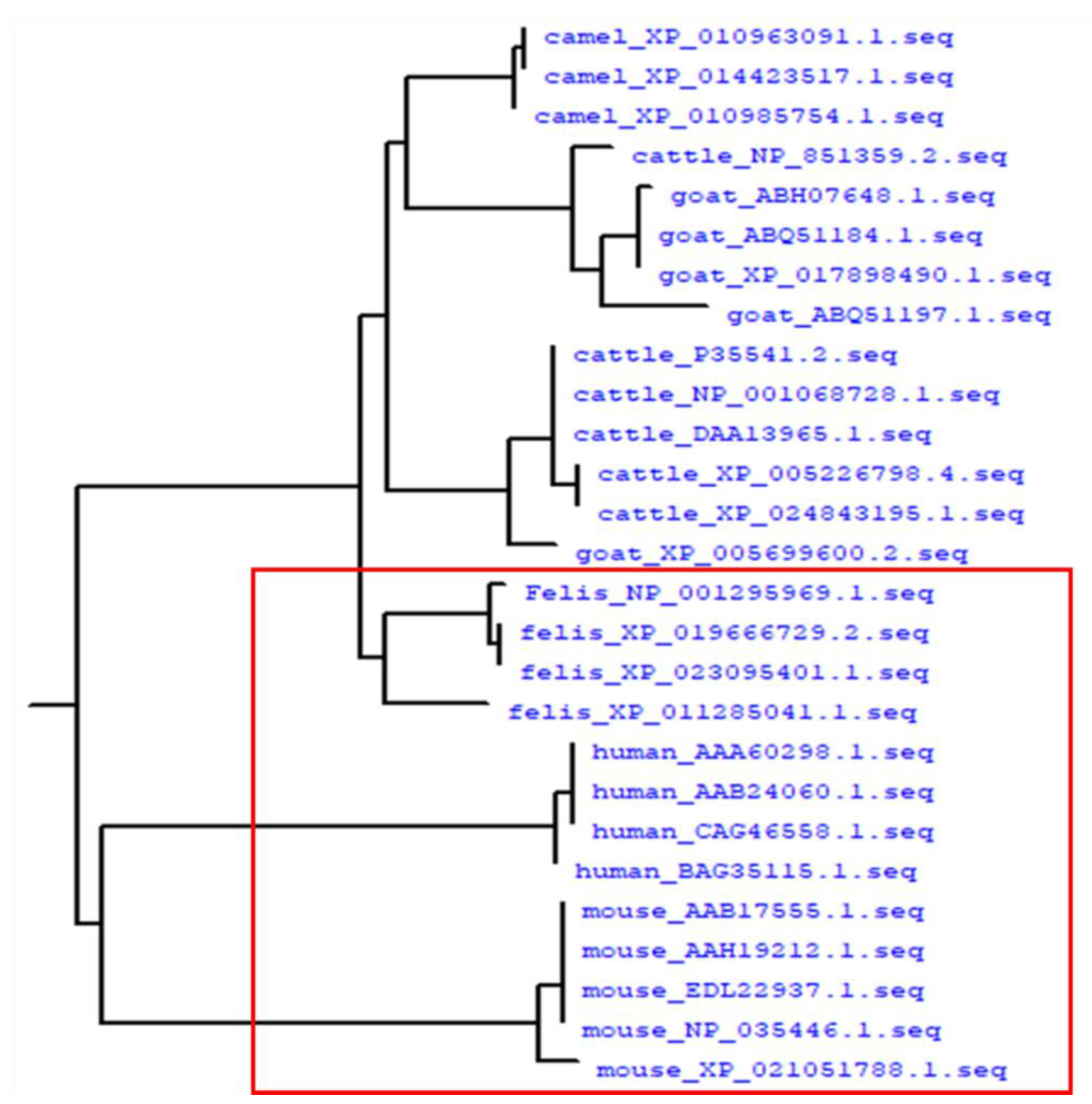 Ijms 22 01036 g005
