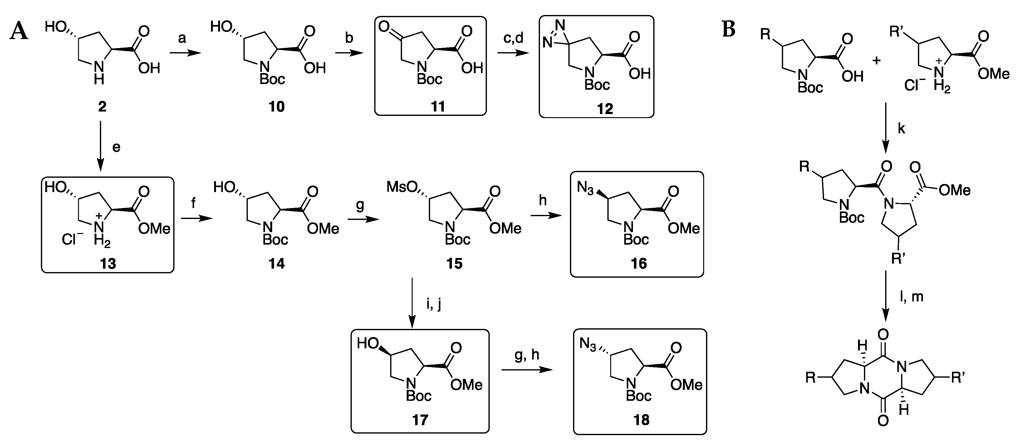 Ijms 22 01037 sch001