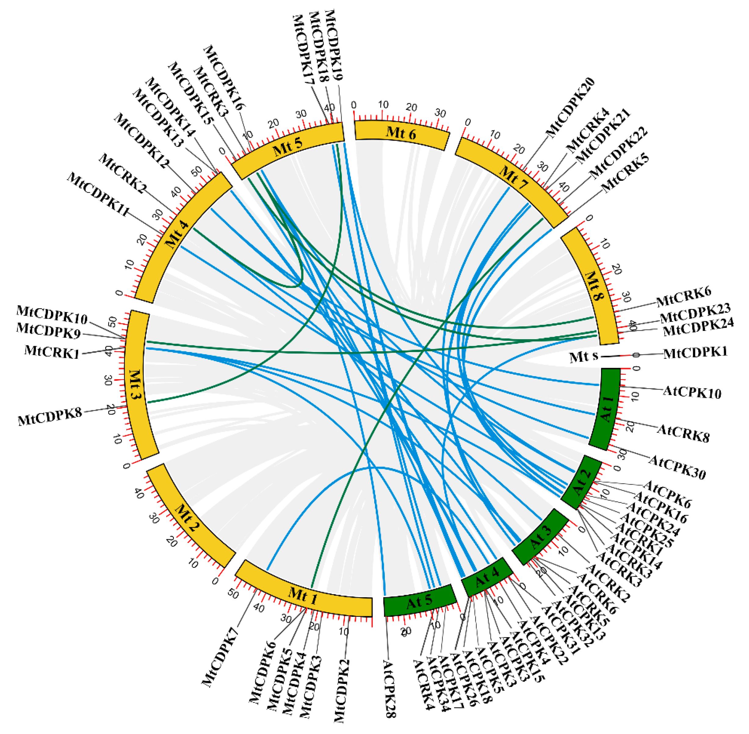 Ijms 22 01044 g002 Ijms 22 01044 g002